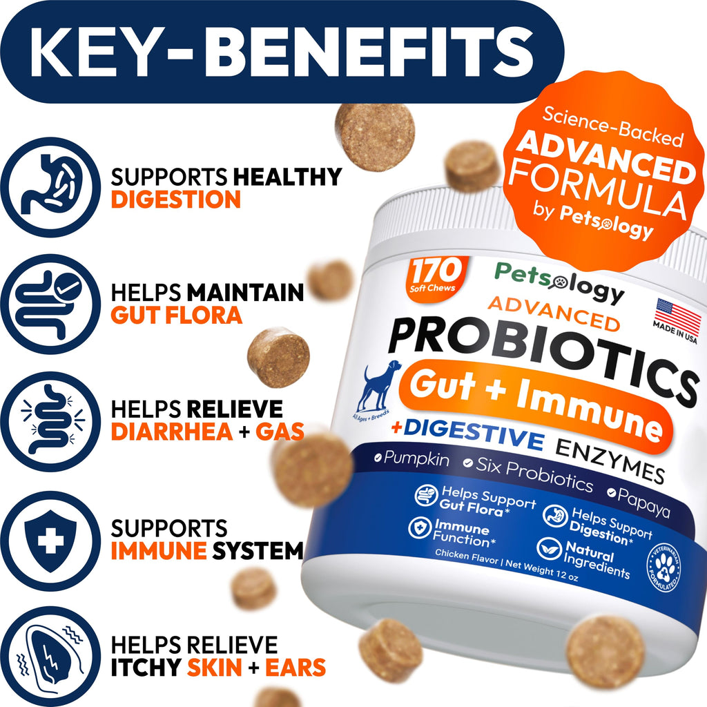 Probiotics for Dogs - 170 Dog Probiotics Chews - Digestive Enzymes & Prebiotics - Support Gut Health, Diarrhea, Gas & Constipation Relief - Itchy Skin, Allergies, Yeast Balance - Advanced Supplement Petsology Au supplements