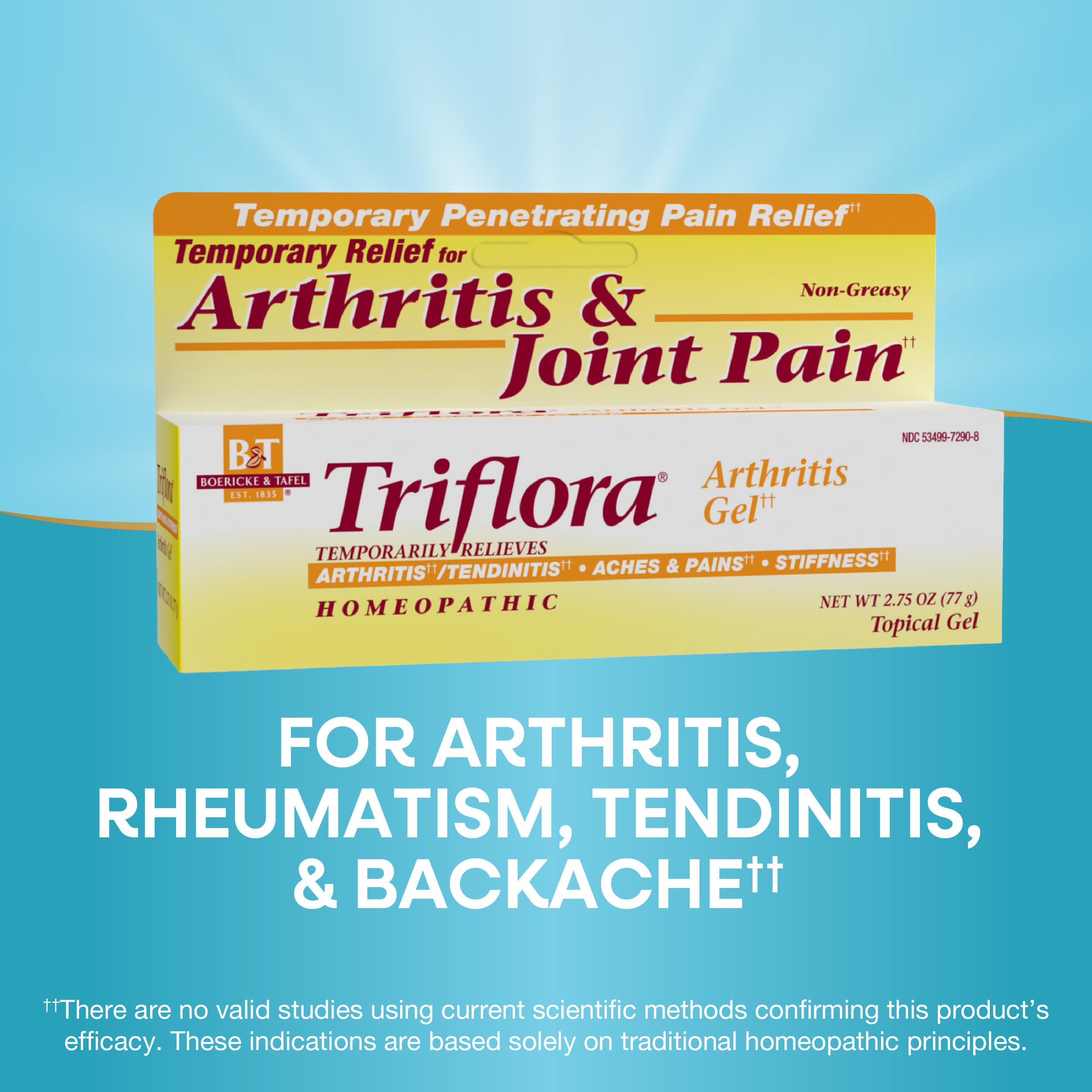 Boericke and Tafel Triflora Arthritis Gel, 2.75 Ounce Nature's Way Au supplements