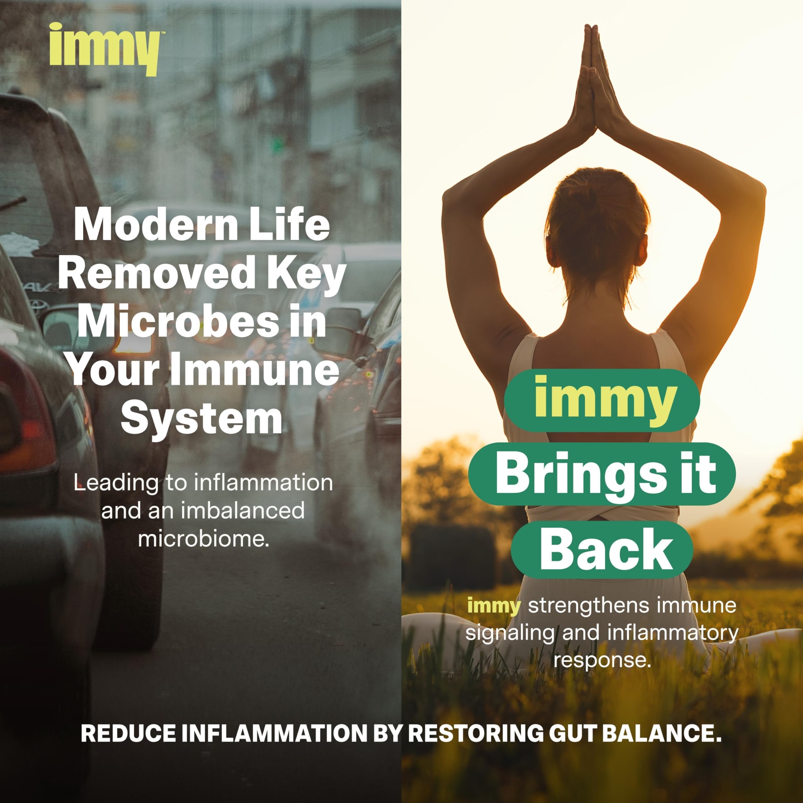 IMMY Doctor-Developed Inflammation Support - 90 Capsules - Supports Healthy Inflammatory Response & Immune Resilience