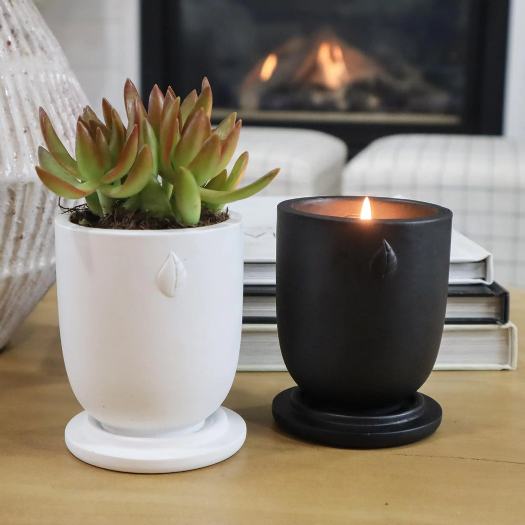 CandlePlanter Concrete Cement Candle Planter - Candles for Home Scented, Soy Candles CANDLEPLANTER Au supplements