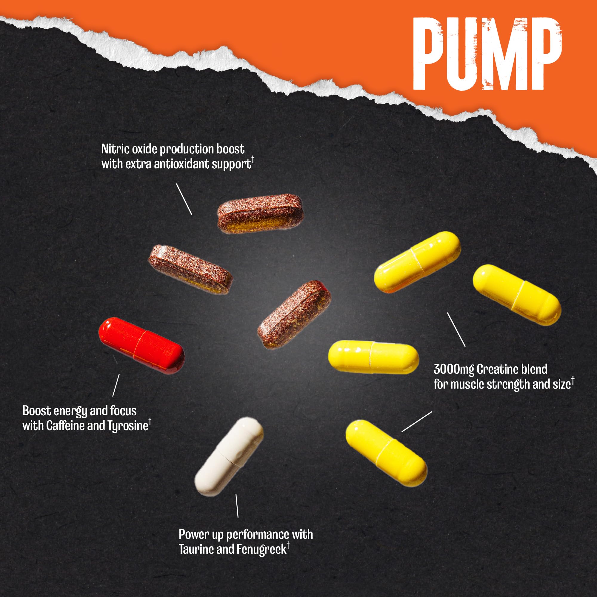 Animal Pump Pre-Workout Supplement – for Energy, Focus and Muscle Volumizing, with Nitric Oxide Boosters Including Stims and Nootropics, Creatine,