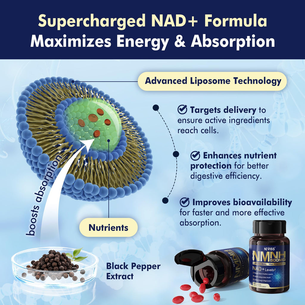 2Pack NAD+ Supplement, Next-Gen NMNH Liposomal 500mg, NR NMN Supplement Alternative, High Absorption NAD+ with Curcumin, Niacinamide for Cellular Energy, DNA Repair, Healthy Aging, 120 Softgels NEVISS Au supplements