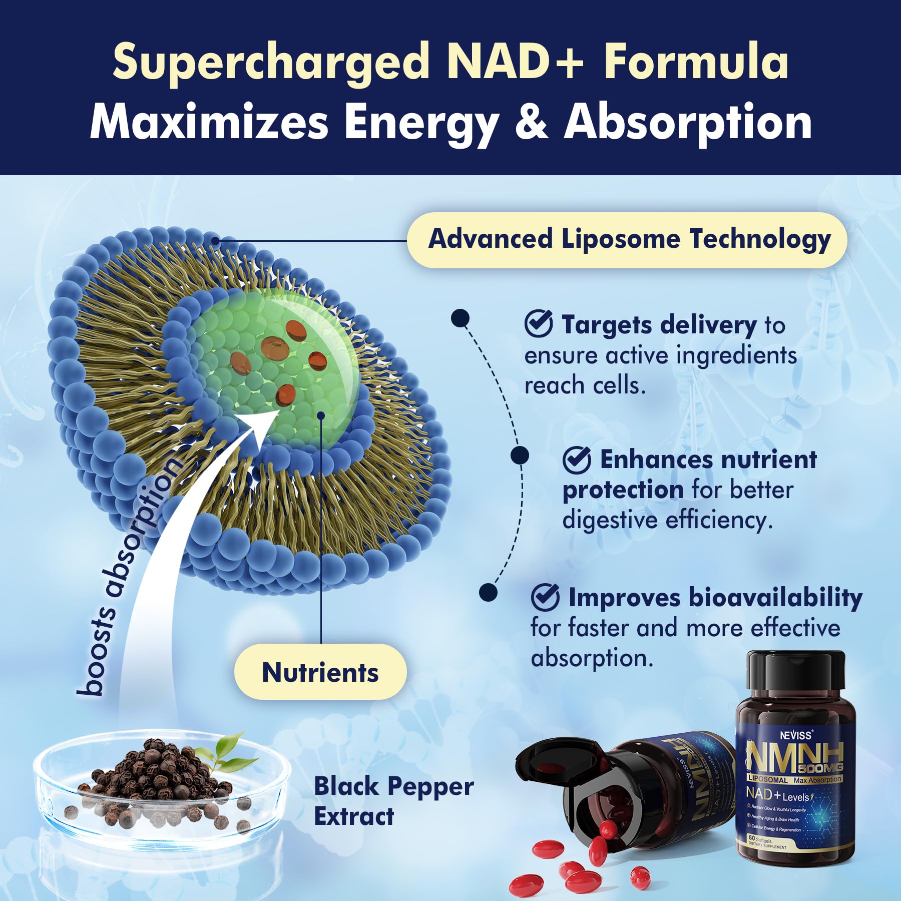 2Pack NAD+ Supplement, Next-Gen NMNH Liposomal 500mg, NR NMN Supplement Alternative, High Absorption NAD+ with Curcumin, Niacinamide for Cellular Energy, DNA Repair, Healthy Aging, 120 Softgels NEVISS Au supplements