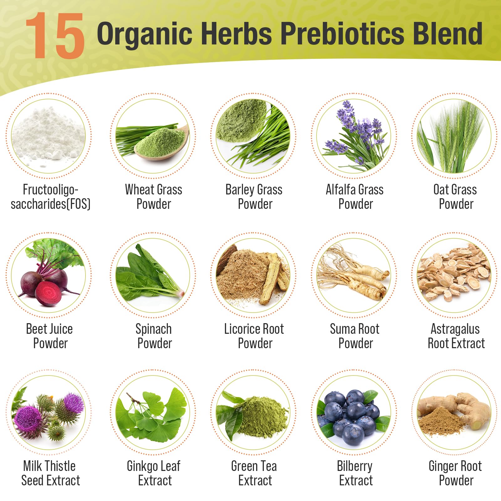 Probiotics for Women & Men - 300 Billion CFU, 24 Strains + 15 Organic Herbs Prebiotics Blend, Daily Probiotic for Digestive Health, Immune, Gut, Bloating