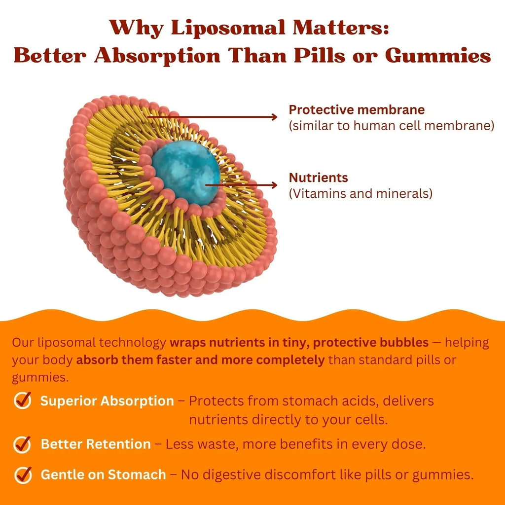 Vitaminally Women’s 50+ Liposomal Liquid Multivitamin – 16 Essential Vitamins & Minerals for Energy, Bone & Immune Support Vitaminally Au supplements