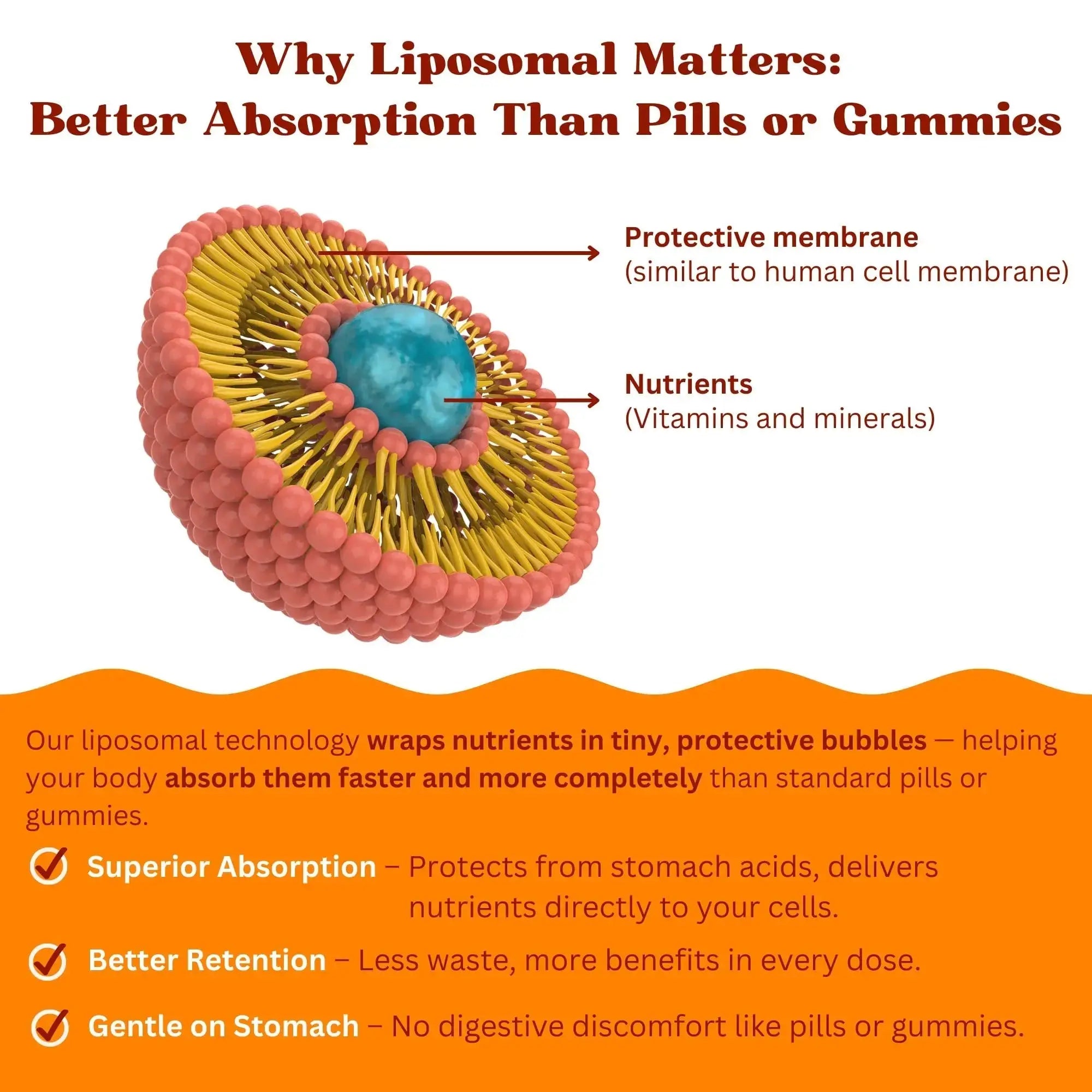 Vitaminally Women’s 50+ Liposomal Liquid Multivitamin – 16 Essential Vitamins & Minerals for Energy, Bone & Immune Support Vitaminally Au supplements