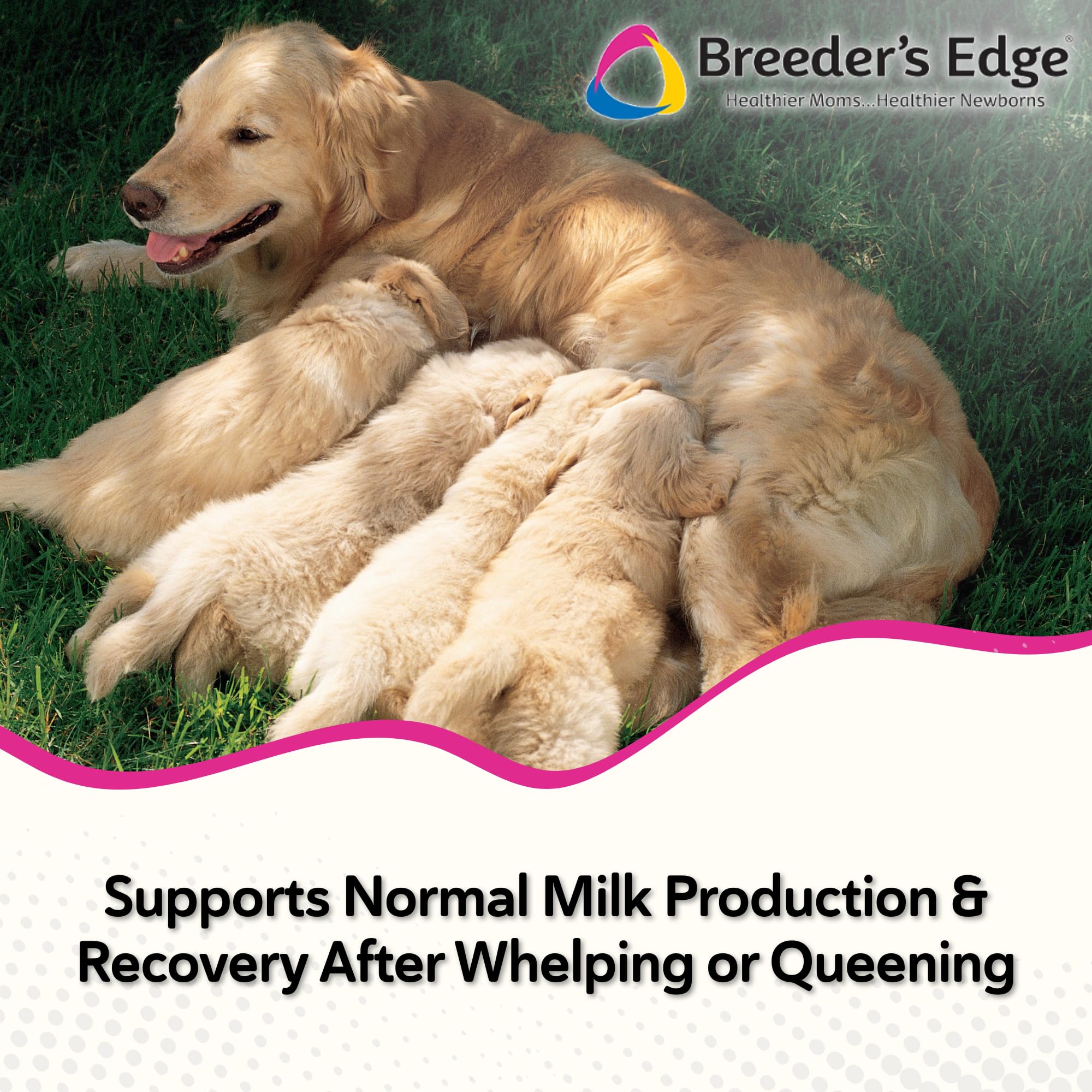Breeder's Edge Oxy Momma Soft Chews, Postnatal Vitamin Supplement for Lactating Dogs and Cats, Supports Recovery, Hormones, and Next Pregnancy - for Small Dogs & Cats, 40ct Soft Chews Revival Animal Health Au supplements