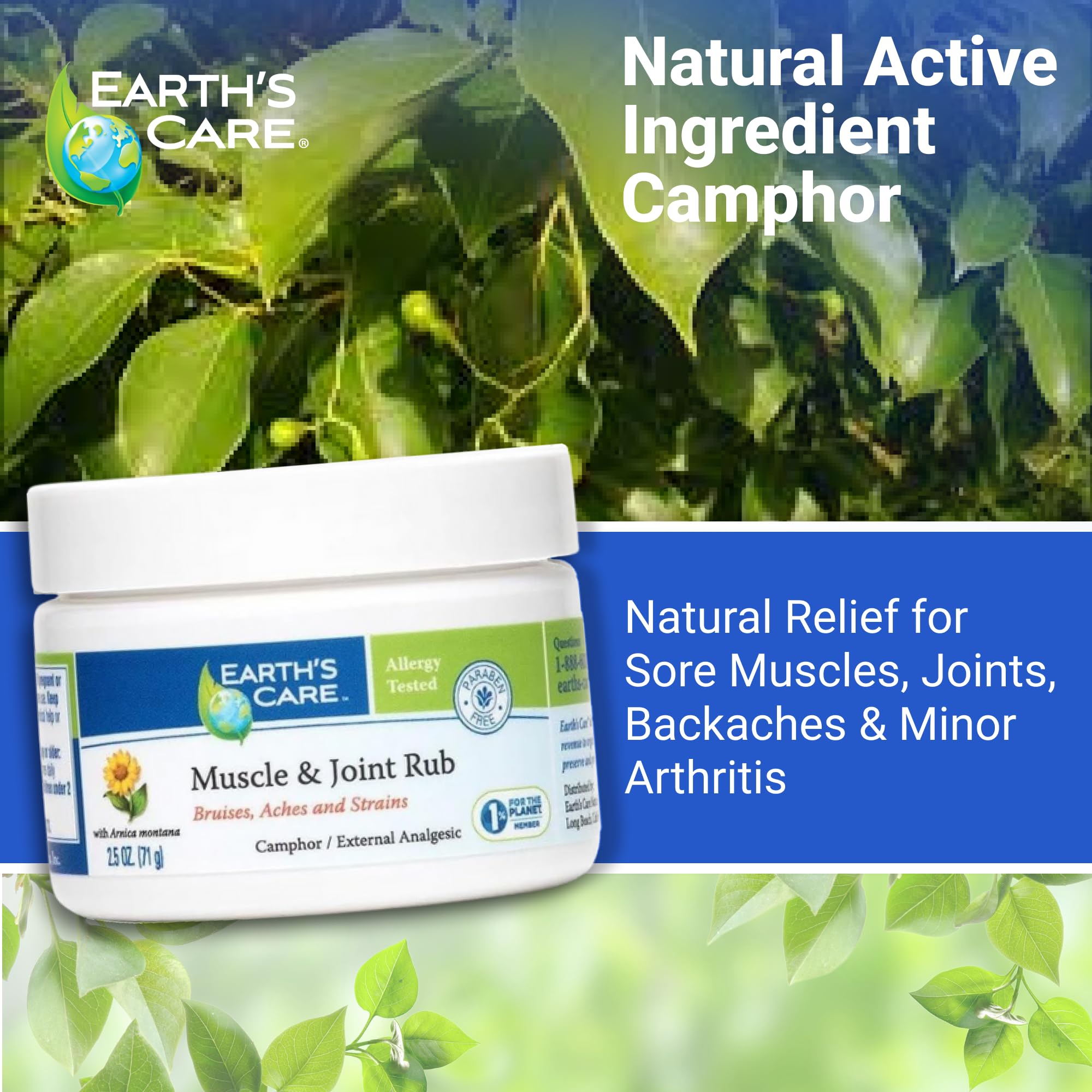 Earth's Care Muscle & Joint Rub - for Sore Muscles, Bruises, Aches and Strains - 2.5 OZ. Earth's Care Au supplements