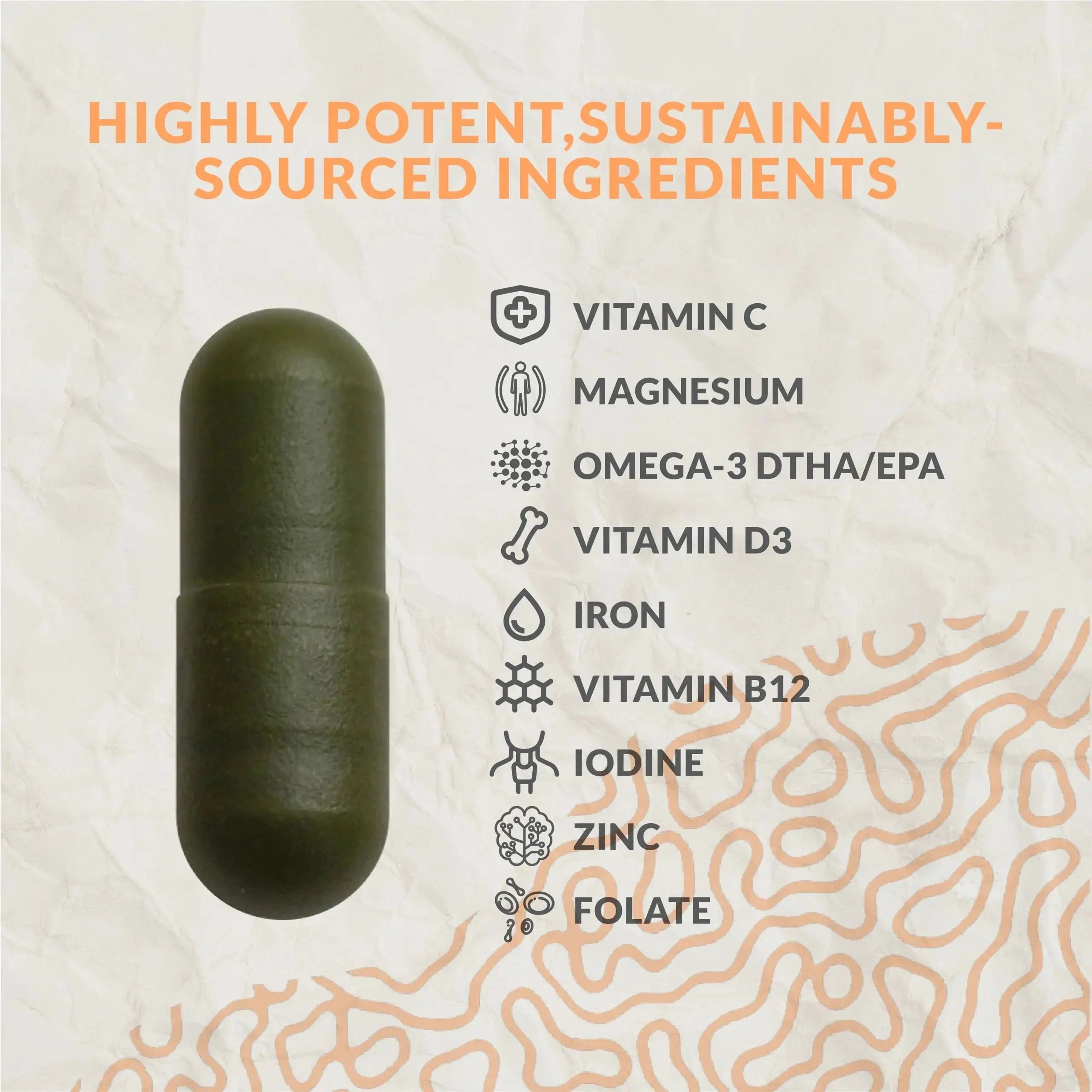 Complete Vegan Multivitamin with Iron, Omega 3, Vitamin D3, Folate, Zinc, Vitamin B12, & More - 100% Sustainable Vegan Vitamins Terraseed Au supplements