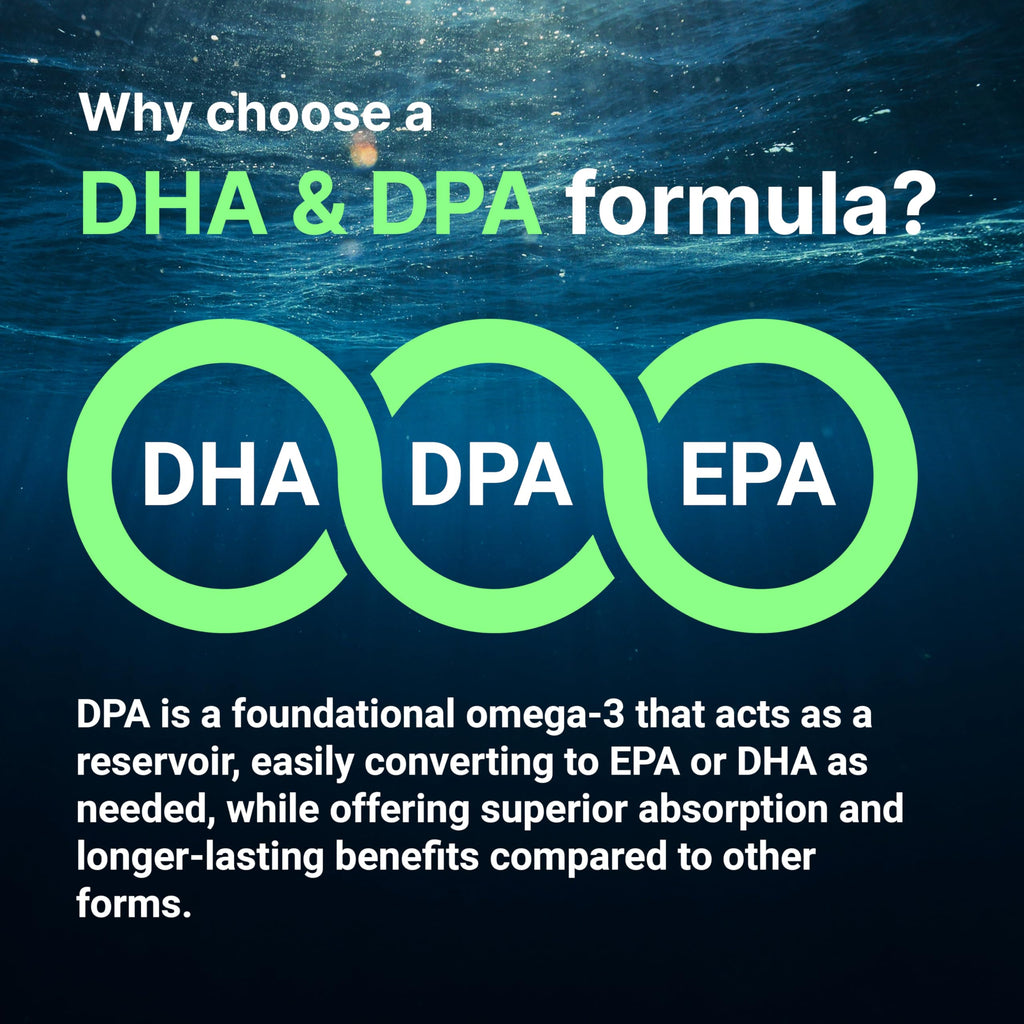 Micro Ingredients Vegan Omega 3 Algae Oil, 240 Veggie Softgels | Fish Oil Alternative | DHA 500mg & DPA 100mg | Carrageenan Free | Plant-Based Omega 3