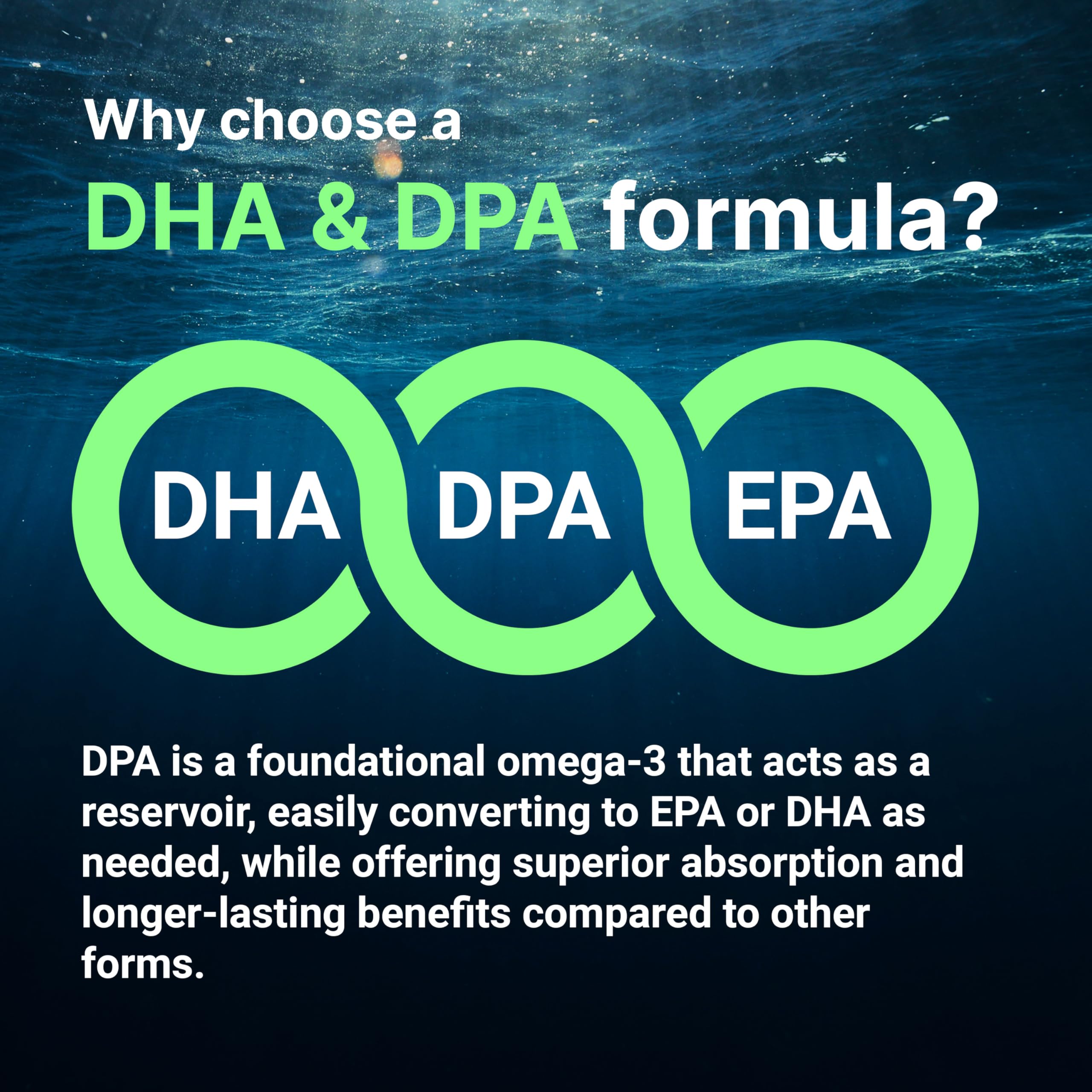 Micro Ingredients Vegan Omega 3 Algae Oil, 240 Veggie Softgels | Fish Oil Alternative | DHA 500mg & DPA 100mg | Carrageenan Free | Plant-Based Omega 3