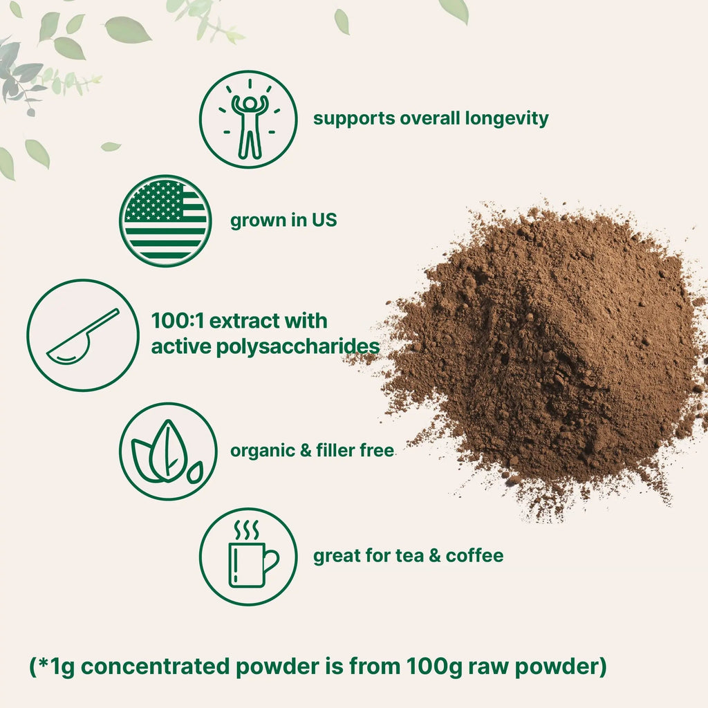 Micro Ingredients Sustainably US Grown, Organic Reishi Mushroom Powder, 8 Ounce Micro Ingredients Au supplements