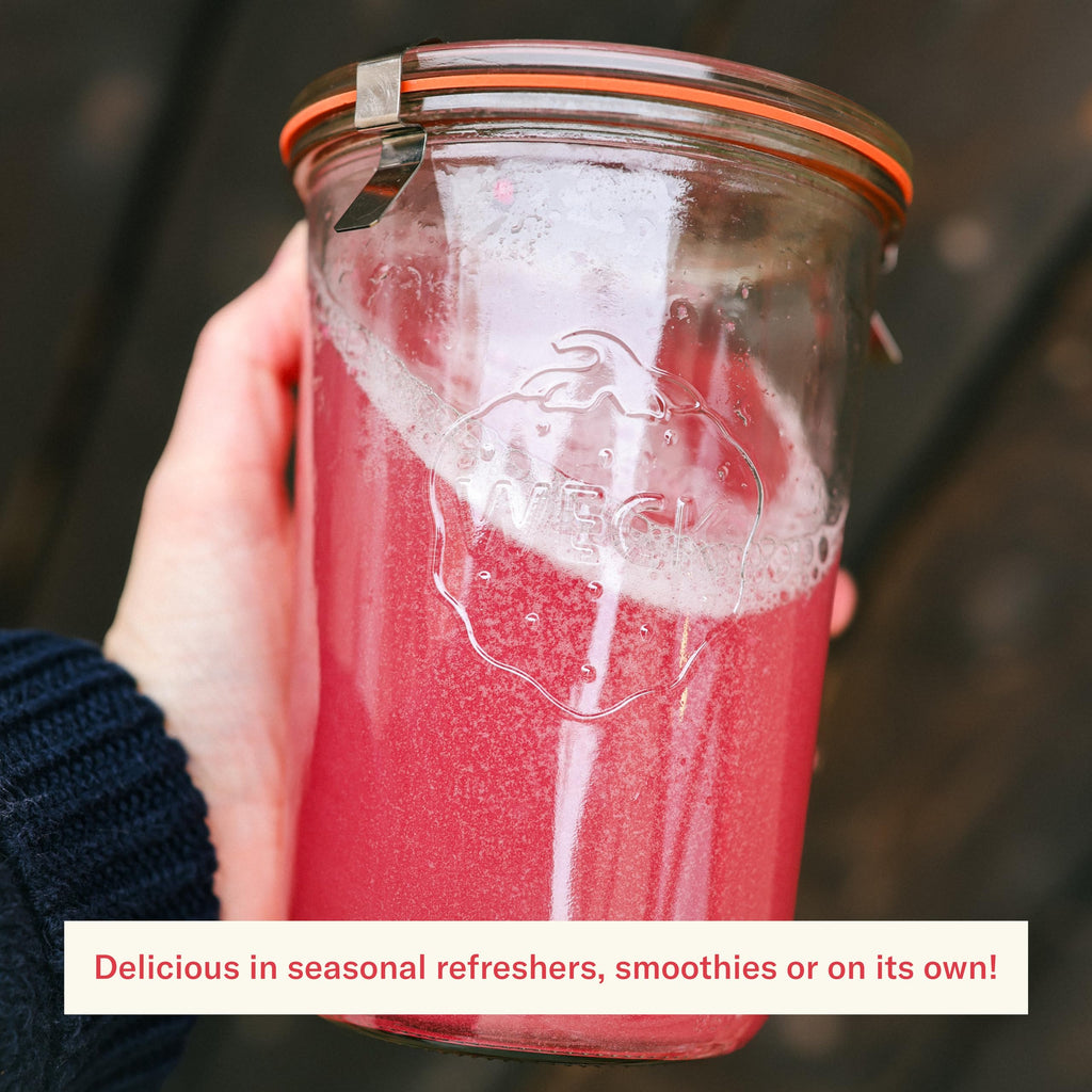 Ballerina Farm Farmer Hydrate, Daily Electrolytes Powder, Raspberry Lemonade, Hydration Drink Mix with Organic Coconut Water, Irish Sea Moss, Sea Salt, Prebiotic Fiber, No Added Sugar, 25 Servings