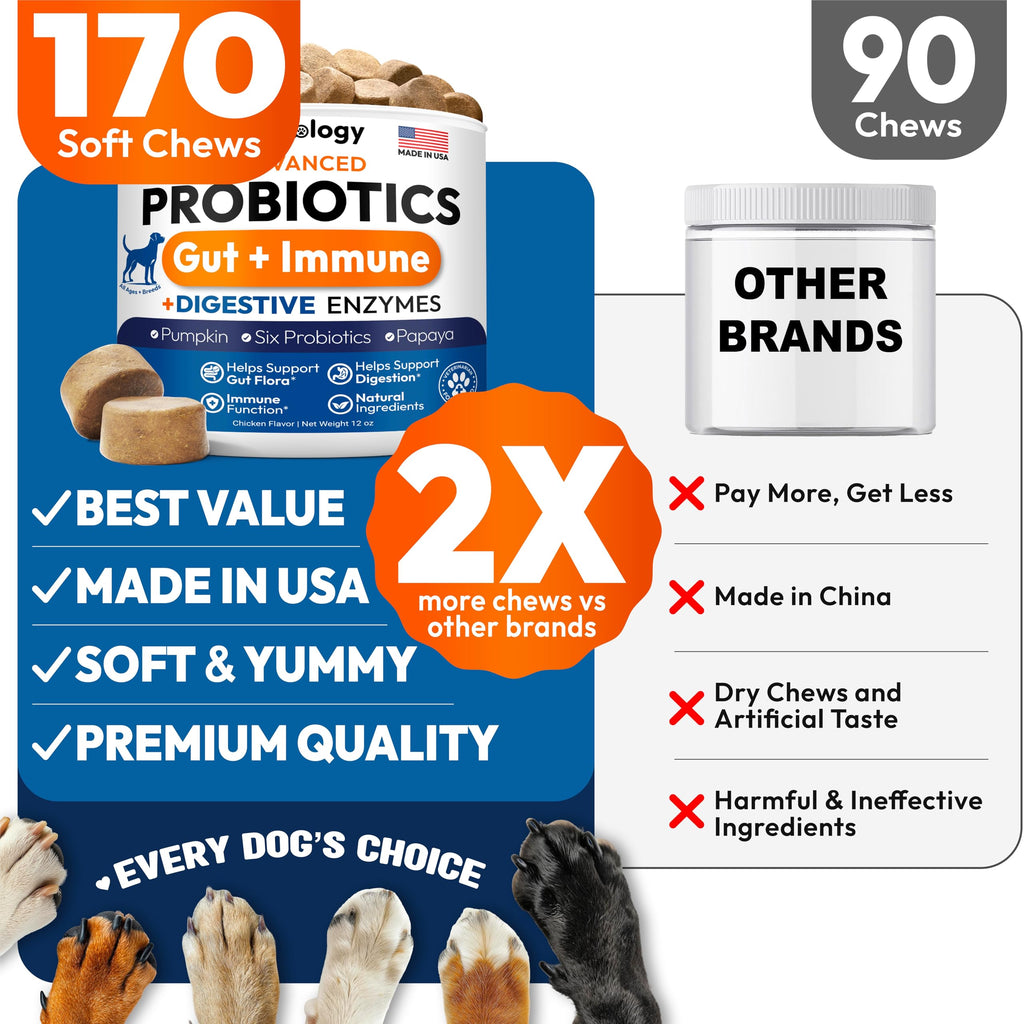 Probiotics for Dogs - 170 Dog Probiotics Chews - Digestive Enzymes & Prebiotics - Support Gut Health, Diarrhea, Gas & Constipation Relief - Itchy Skin, Allergies, Yeast Balance - Advanced Supplement Petsology Au supplements