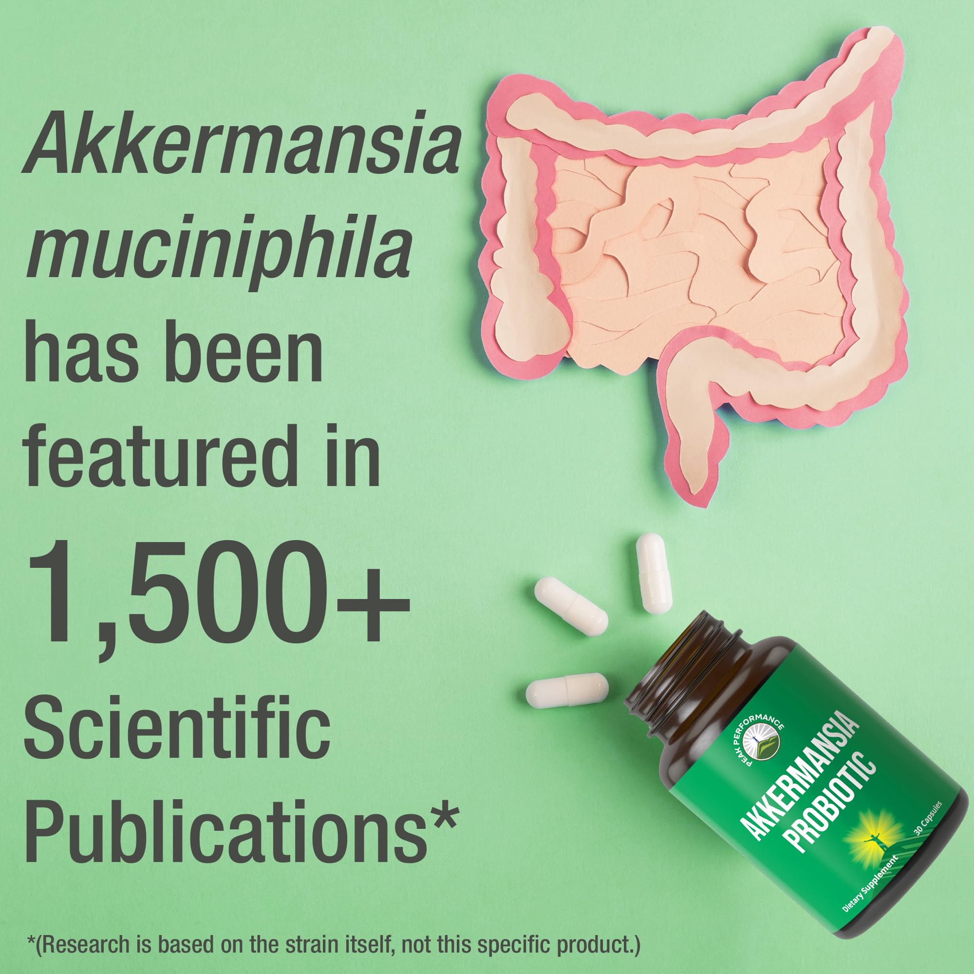 Akkermansia Probiotic to Increase GLP-1 Production. Ultra High Strength Akkermansia Muciniphila Live Strain with Prebiotic Fiber for Gut Health & Microbiome Balance. Delayed Release, 3rd Party Tested Peak Performance Au supplements