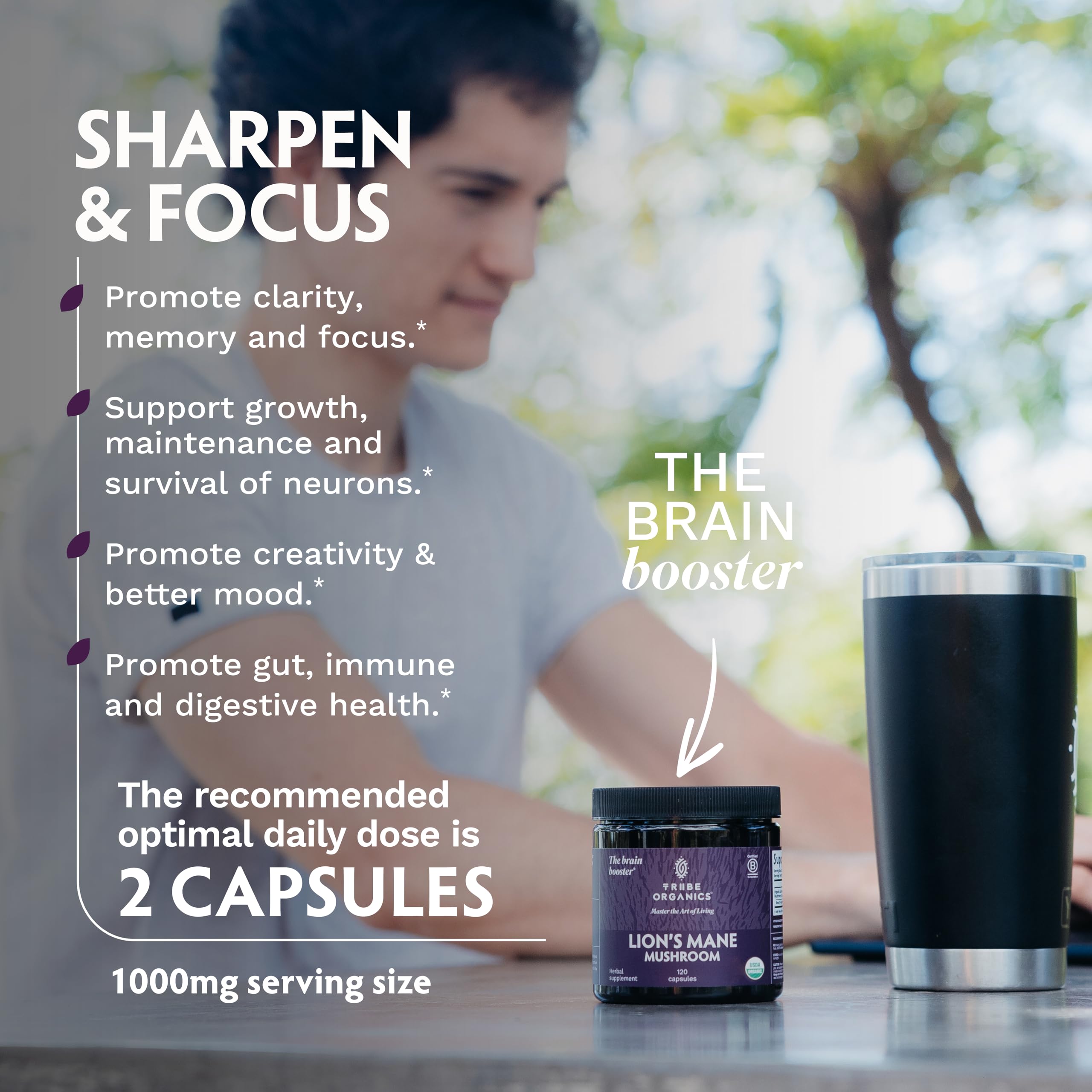 TRIBE ORGANICS Lion’s Mane Supplement 1000mg Mushroom Extract Powder - Immune System Booster & Brain Nootropic for Focus and Memory | Mental Clarity | Natural Energy and Immunity - 120 Vegan Capsules TRIBE ORGANICS Au supplements