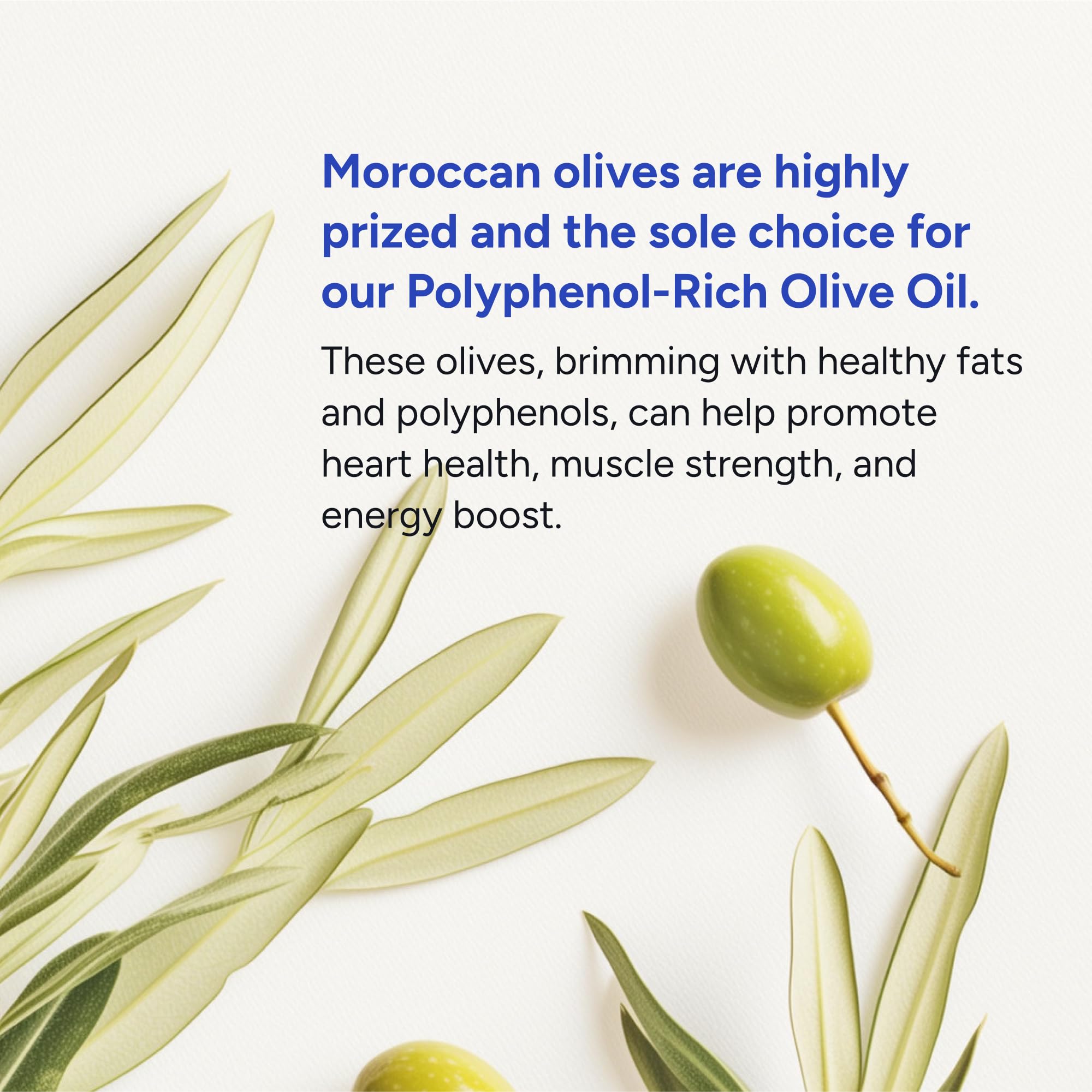 Gundry MD® Organic Extra Virgin First Cold Press Moroccan Polyphenol Rich Olive Oil (Olive Oil) (1)