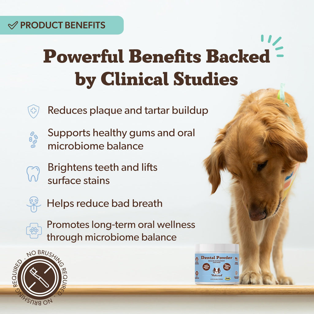 Natural Dog Company Dental Powder for Dogs – Freshens Breath & Helps Reduce Plaque & Tartar, Natural No-Brushing Canine Oral Health Postbiotic Supplement, Vet Formulated, Made in USA, 30-Day Supply Natural Dog Company Au supplements