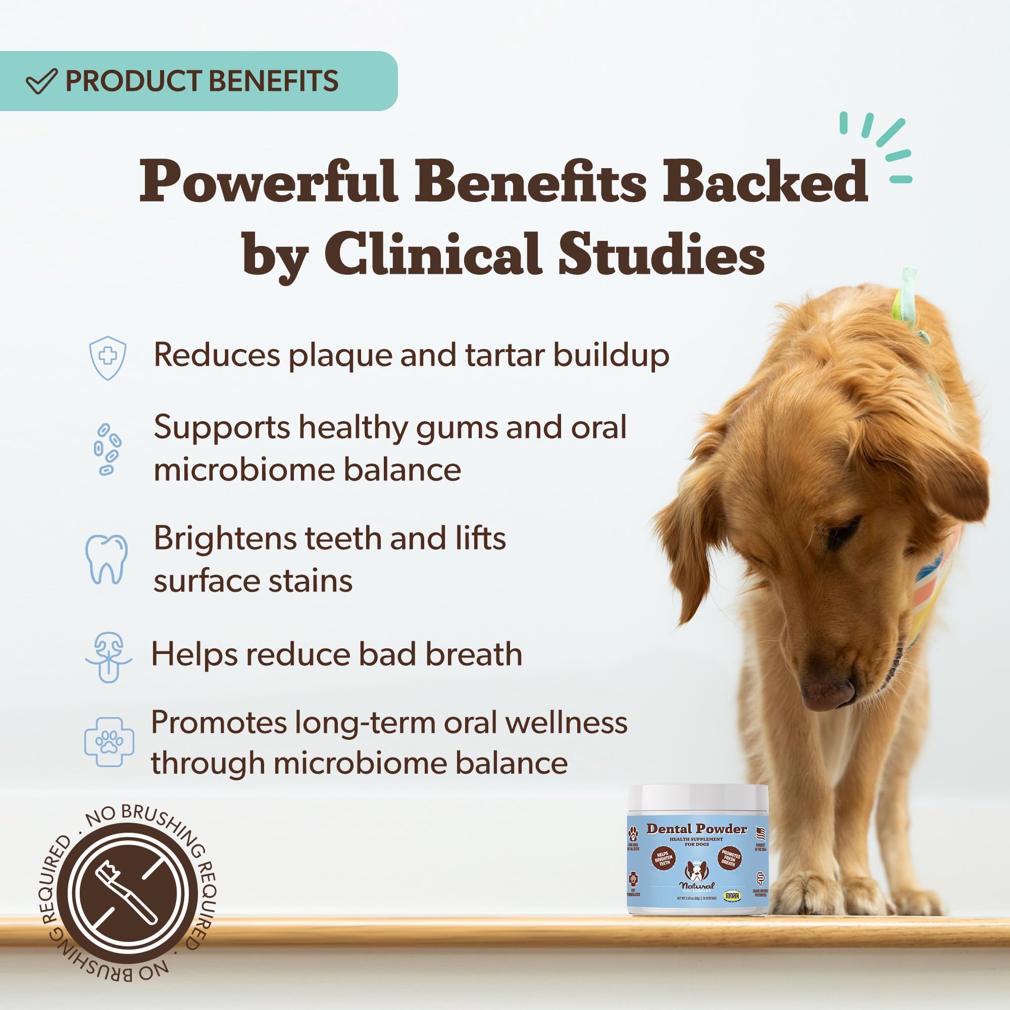 Natural Dog Company Dental Powder for Dogs – Freshens Breath & Helps Reduce Plaque & Tartar, Natural No-Brushing Canine Oral Health Postbiotic Supplement, Vet Formulated, Made in USA, 30-Day Supply Natural Dog Company Au supplements