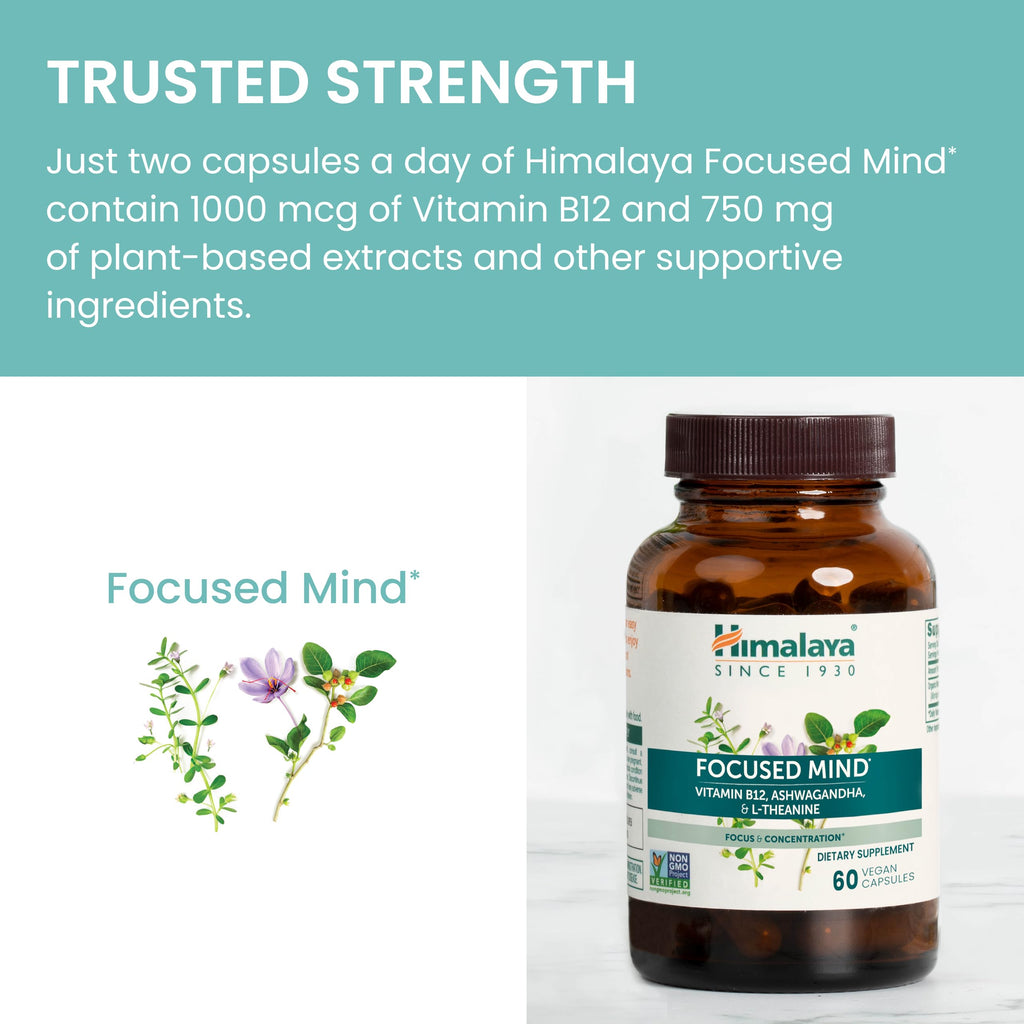 Himalaya Focused Mind Supplement, with Ashwagandha, Bacopa & L-Theanine for Attention, Focus and Energy Support, 60 Vegan Capsules, Gluten Free, 1 Month Supply Himalaya Au supplements