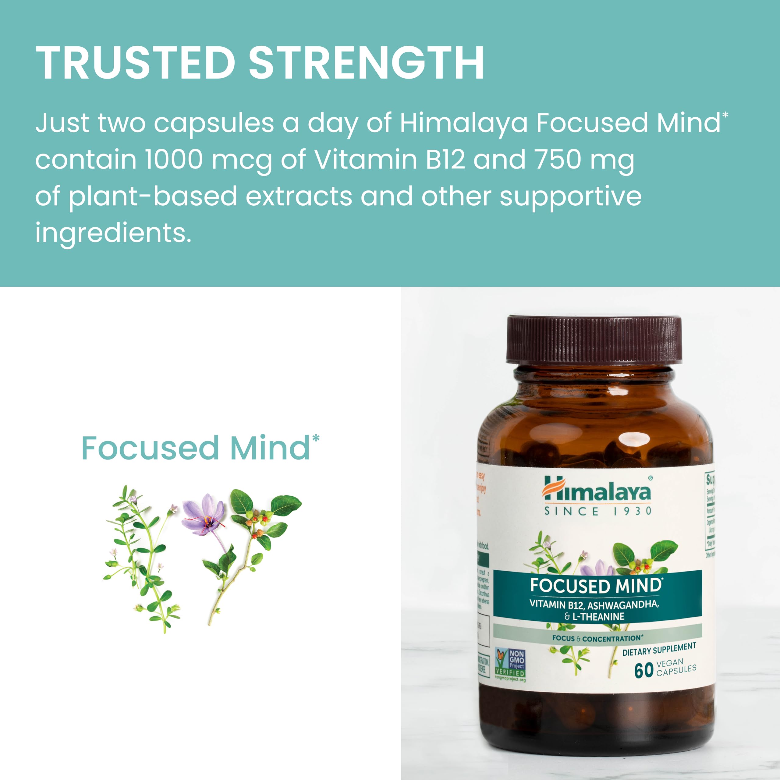 Himalaya Focused Mind Supplement, with Ashwagandha, Bacopa & L-Theanine for Attention, Focus and Energy Support, 60 Vegan Capsules, Gluten Free, 1 Month Supply Himalaya Au supplements