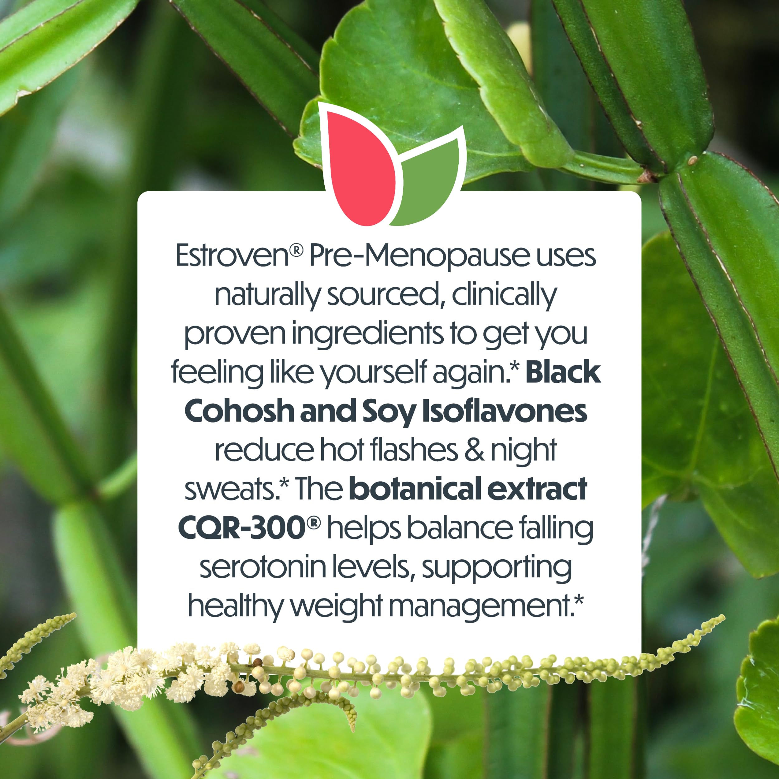 Estroven Pre-Menopause Relief, 30 Ct., Clinically Proven Ingredients, Provides Menopause Relief plus Night Sweats & Hot Flash Relief, Drug-Free or Estrogen Free Estroven Au supplements