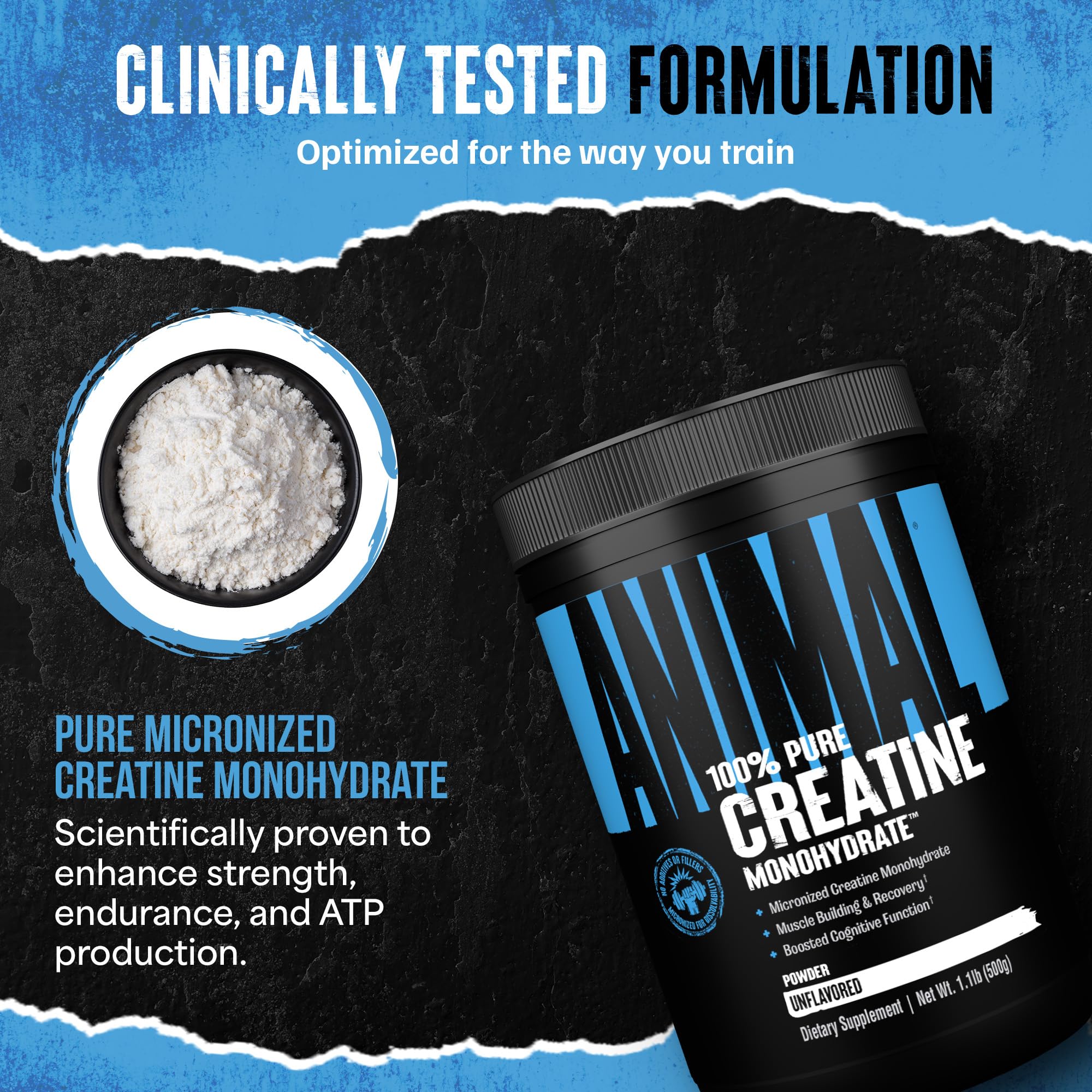 Animal Creatine Monohydrate Powder - Micronized Creatine for Women and Men, Supports Muscle Growth, Strength, Endurance, Recovery and ATP Production,