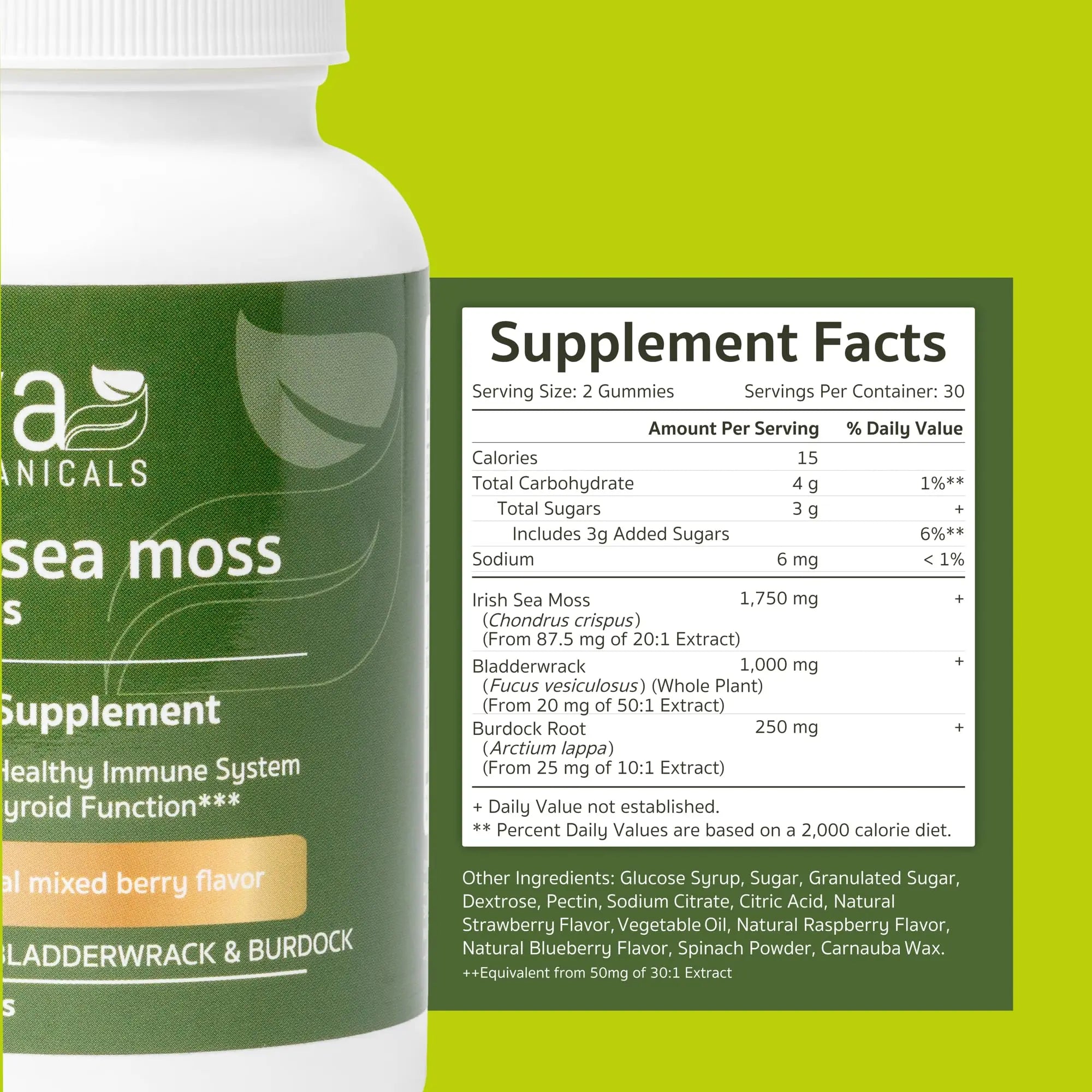 Jiva Botanicals - Irish Sea Moss Gummies with Bladderwrack & Burdock Root 3000mg Jiva Botanicals Au supplements