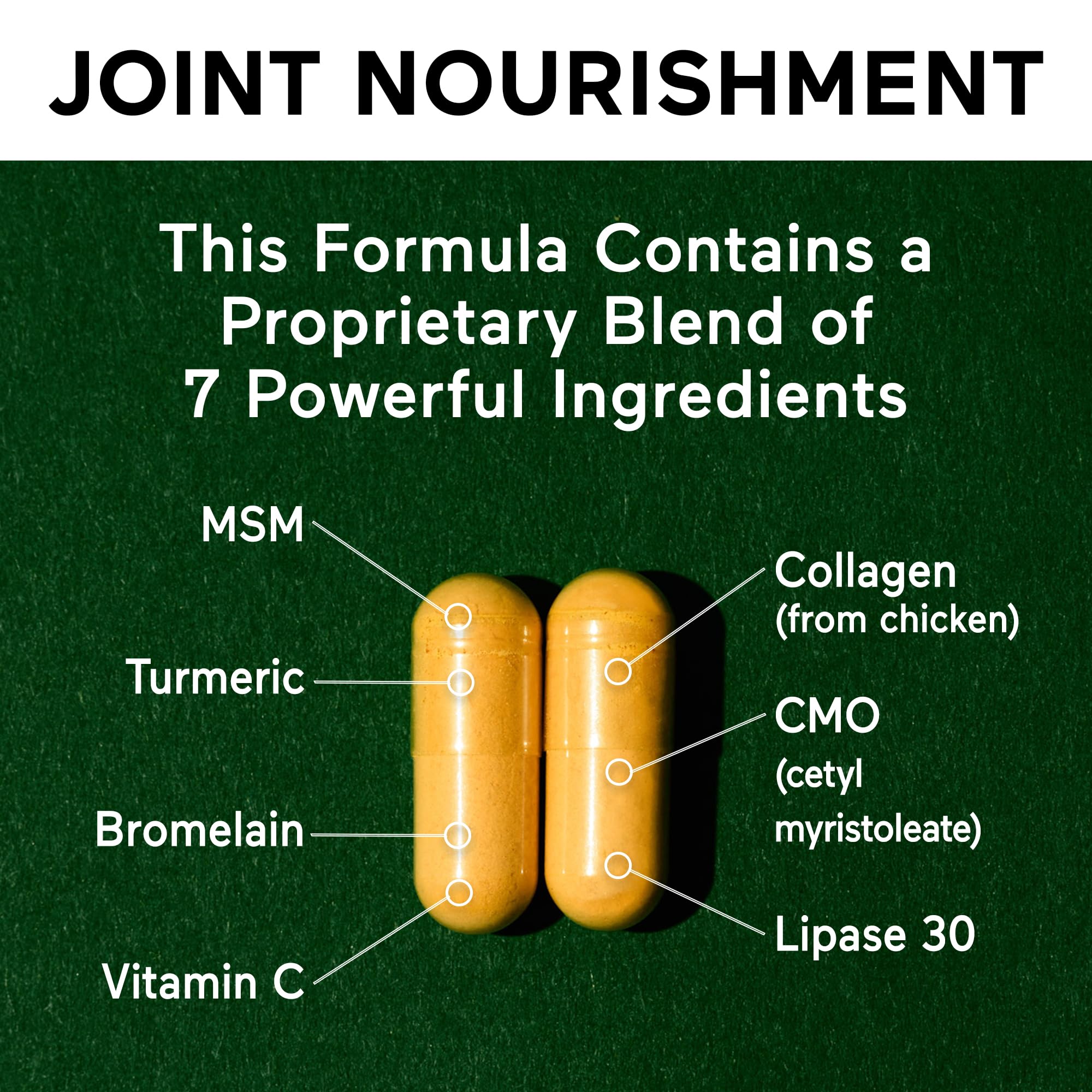 SMARTERNUTRITION Joint Food - Whole-Food Joint Supplement to Support Lubrication & Mobility - Formulated with Collagen Type II, MSM, Vitamin C, Turmeric, Bromelain - 6 Pack[180-Day Supply] SMARTERNUTRITION Au supplements