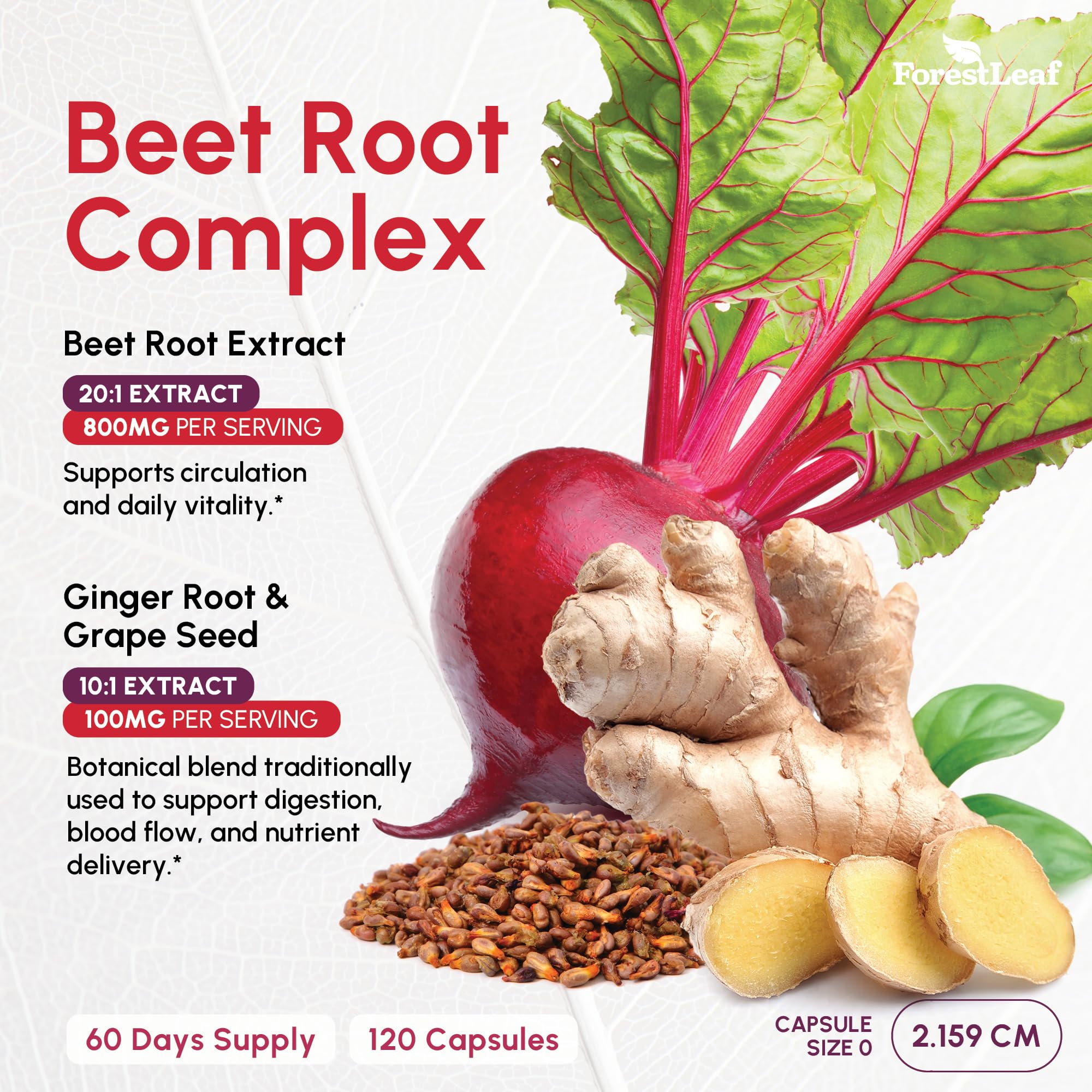 ForestLeaf USDA Organic Beet Root Capsules - Beetroot Supplement 1000mg 20:1 Extract w/Ginger Grape Seed - Support Blood Pressure, Nitric Oxide