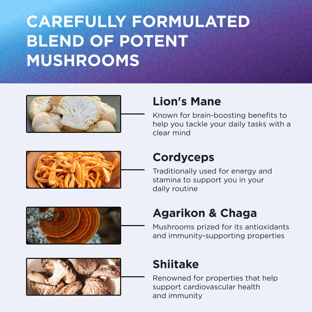 DR. EMIL NUTRITION 10 Mushroom Supplement for Mental Clarity, Focus & Immune Support - Functional Mushroom Nootropic Supplement with Lions Mane Extract, Cordyceps, Turkey Tail & More DR. EMIL NUTRITION Au supplements