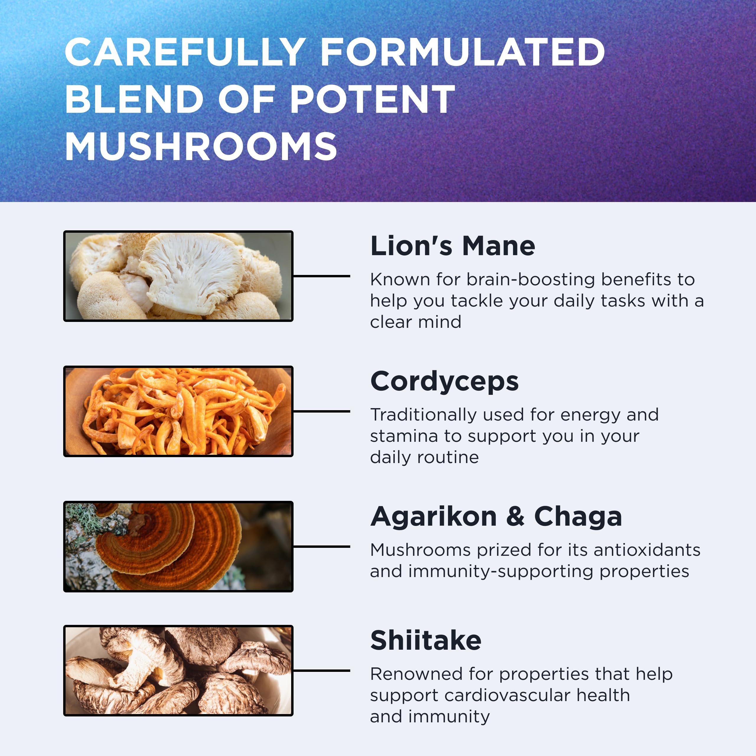 DR. EMIL NUTRITION 10 Mushroom Supplement for Mental Clarity, Focus & Immune Support - Functional Mushroom Nootropic Supplement with Lions Mane Extract, Cordyceps, Turkey Tail & More DR. EMIL NUTRITION Au supplements