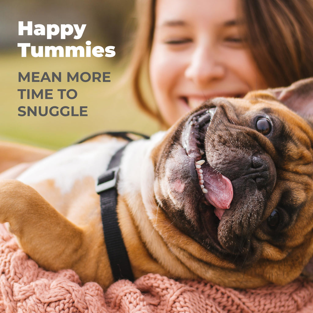 Vetnique Glandex Daily Probiotics for Dogs with Prebiotics to Support Gut Health with Fiber and Digestive Enzymes, Dog Probiotic Chews or Powders (30ct Chews, Bacon Chews) Vetnique Au supplements