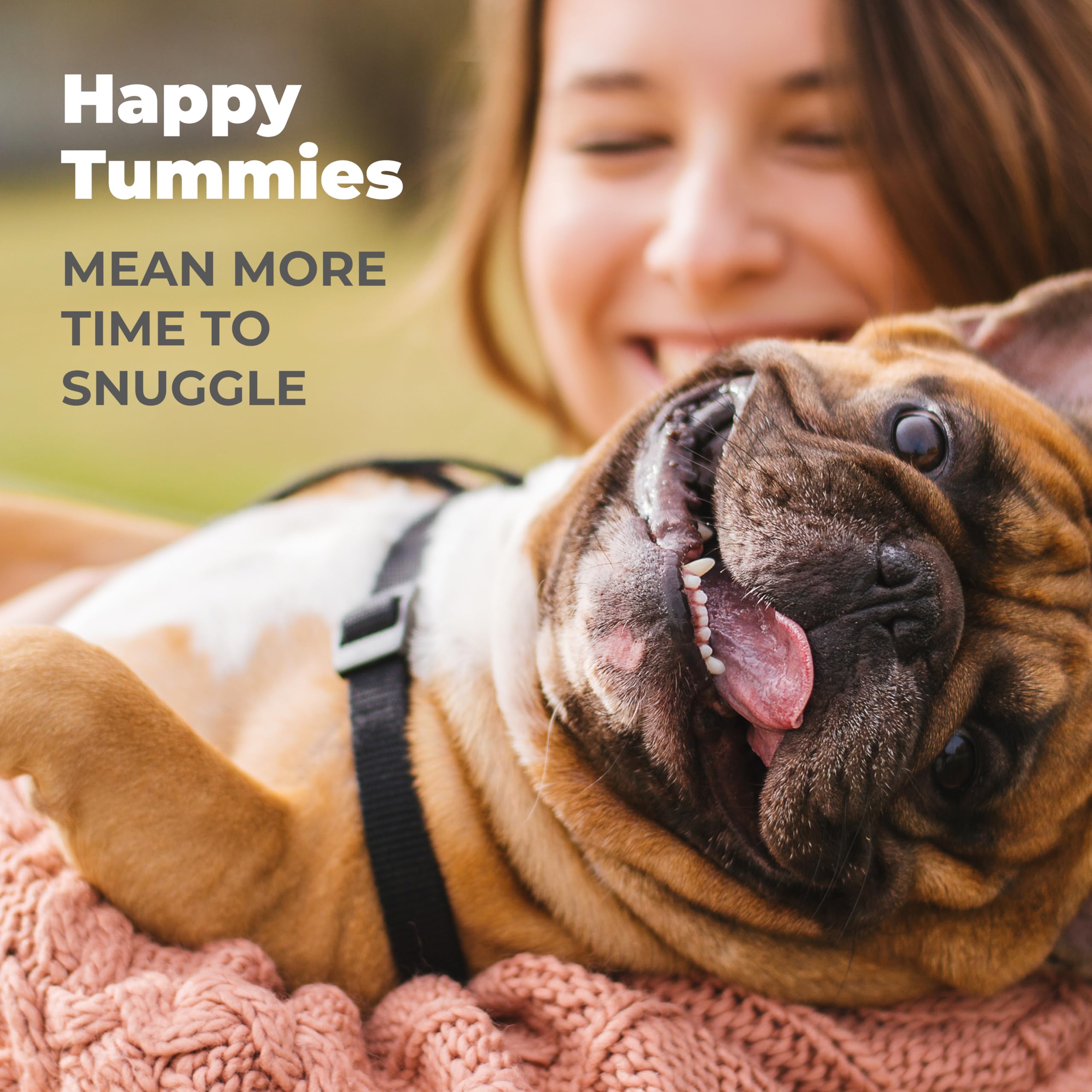 Vetnique Glandex Daily Probiotics for Dogs with Prebiotics to Support Gut Health with Fiber and Digestive Enzymes, Dog Probiotic Chews or Powders (30ct Chews, Bacon Chews) Vetnique Au supplements