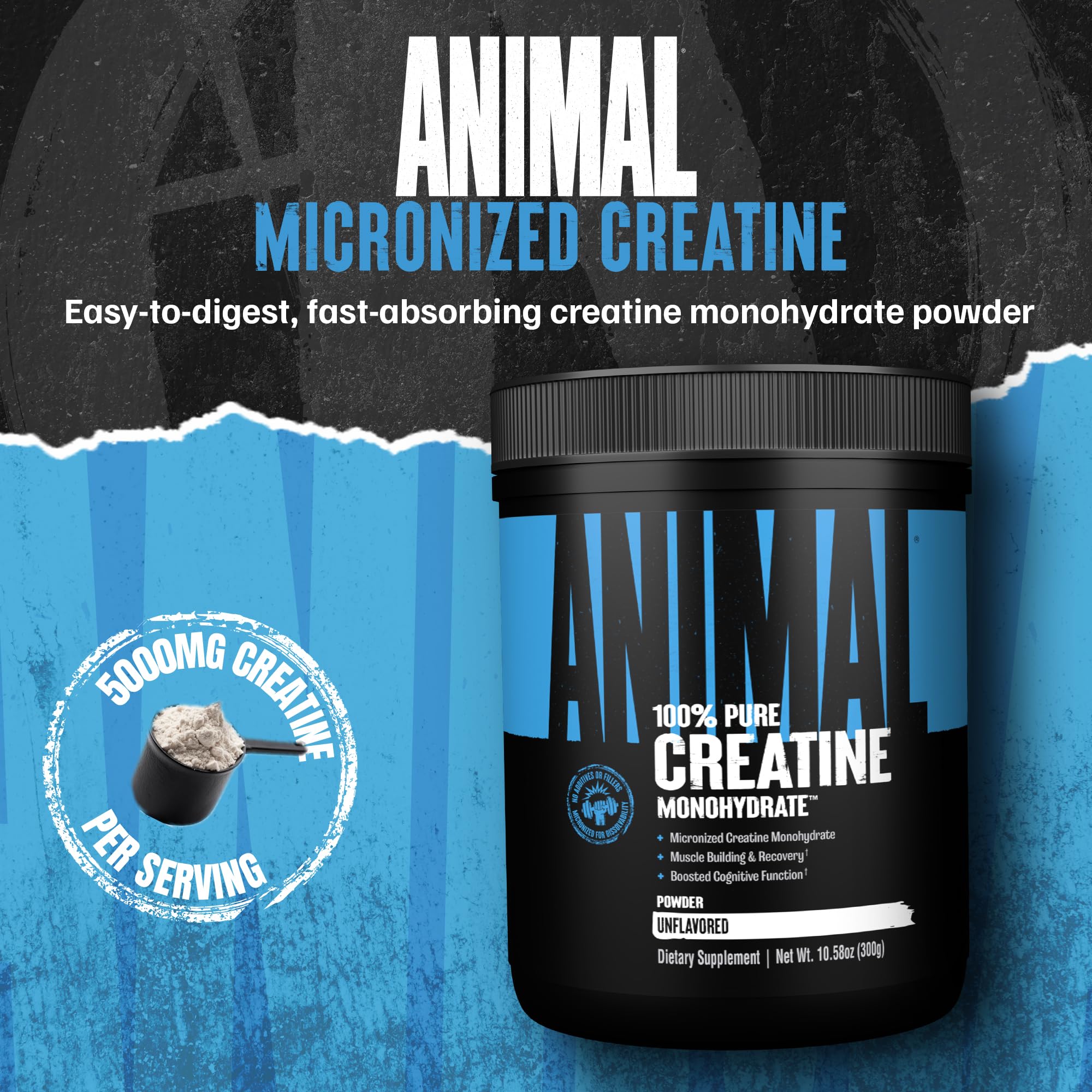 Animal Creatine Monohydrate Powder – Micronized Creatine for Women and Men, Supports Muscle Growth, Strength, Endurance, Recovery and ATP Production, Gym & Workout Supplements - Unflavored, 300g Animal Au supplements