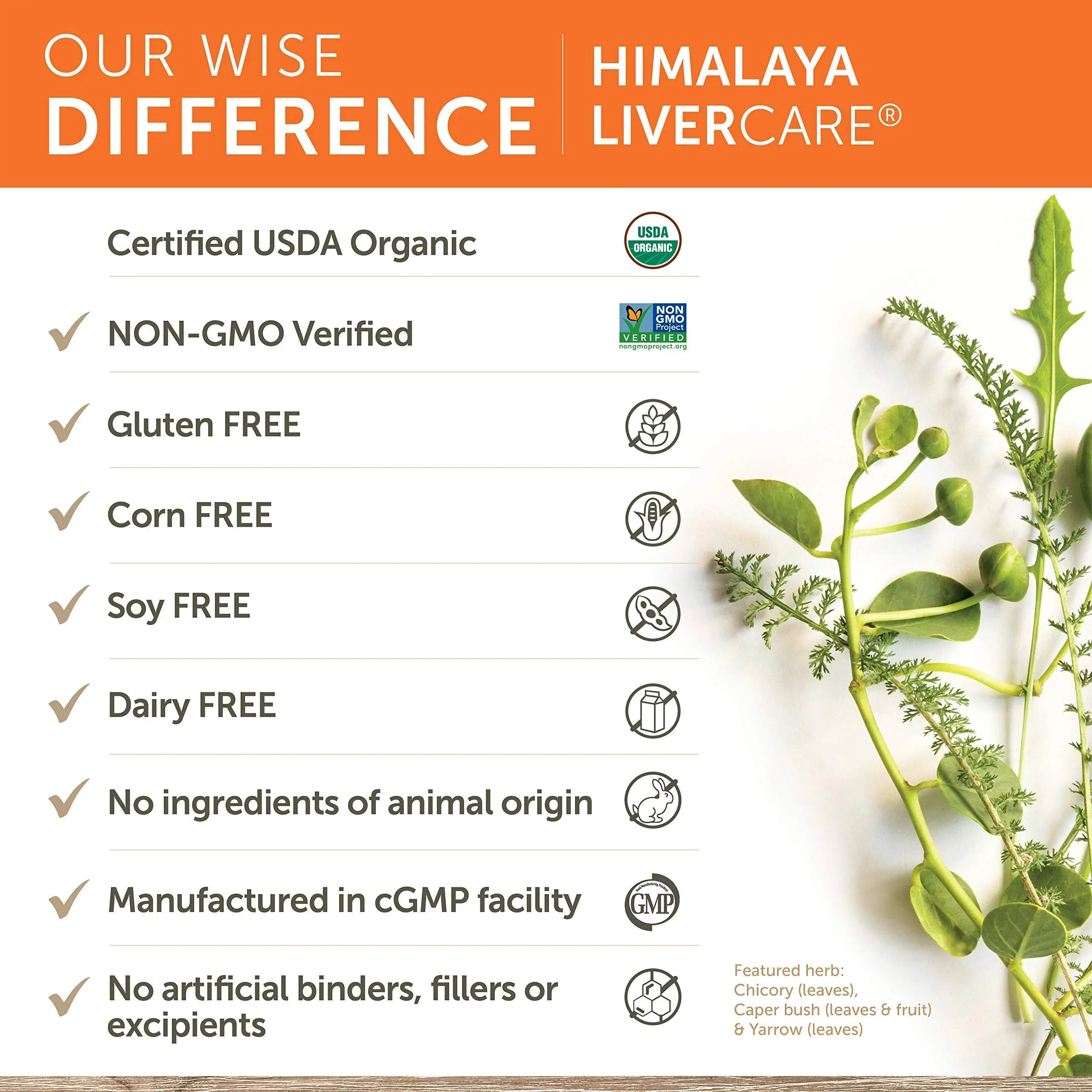 Himalaya LiverCare for Liver Cleanse and Liver Detox, 375 mg, 180 Capsules Himalaya Au supplements