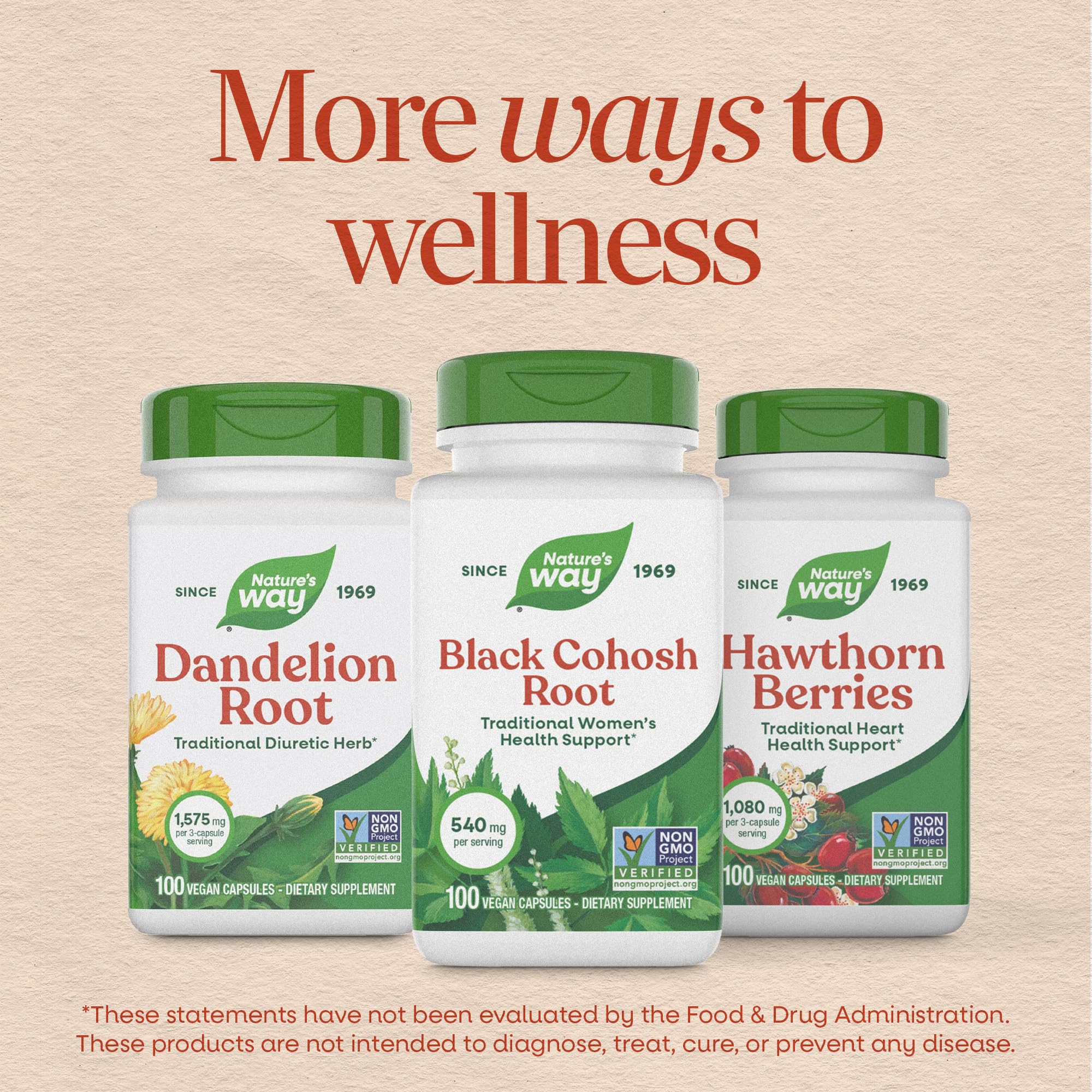 Nature’s Way Herbs Black Cohosh Root Capsules, Traditional Women’s Herbal Supplement*, Cimicifuga Racemosa Root,