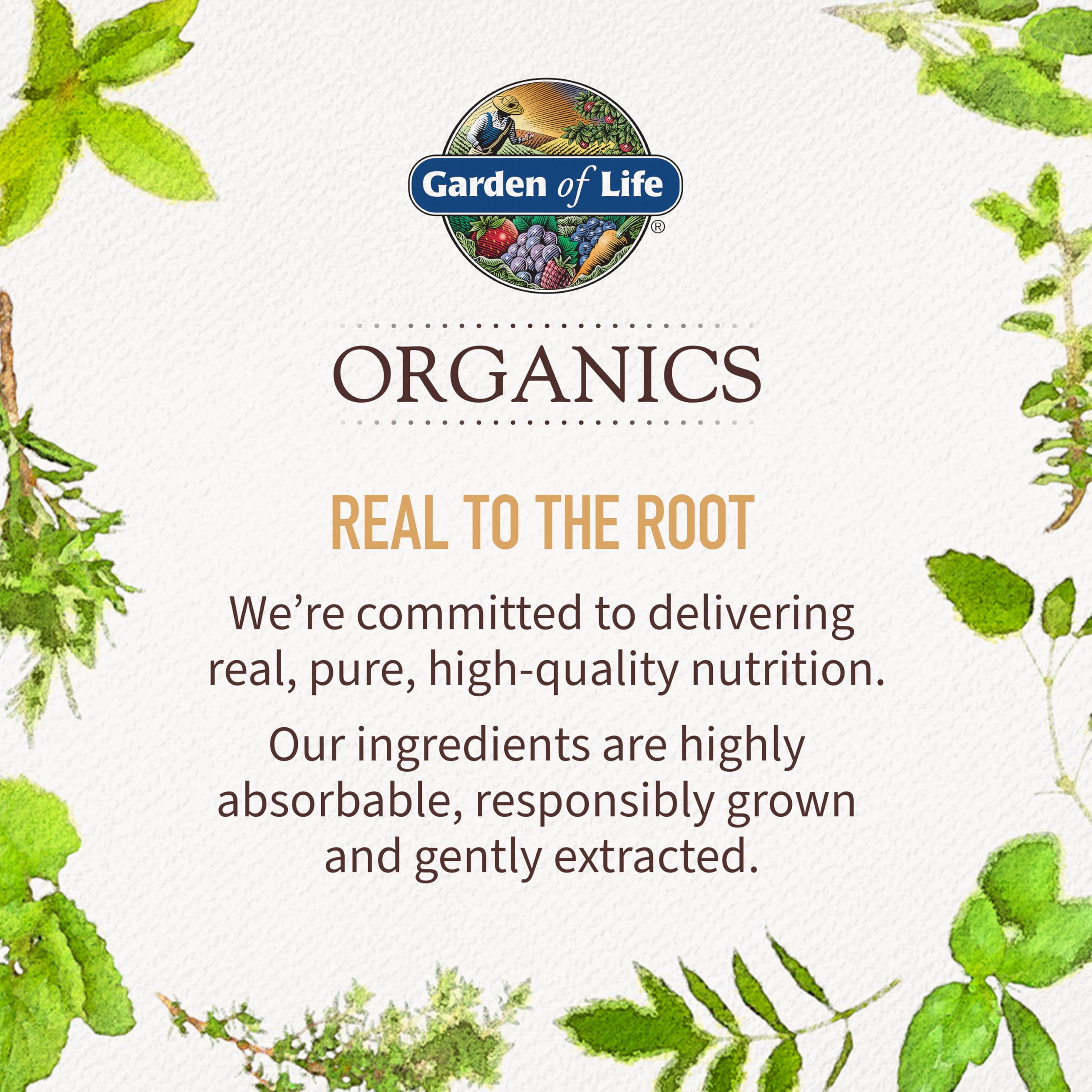 Garden of Life Organics Golden Milk Recovery & Nourishment Powder - 44mg Turmeric Curcumin (95% Curcuminoids), Ashwagandha - Organic Non-GMO Vegan & Gluten