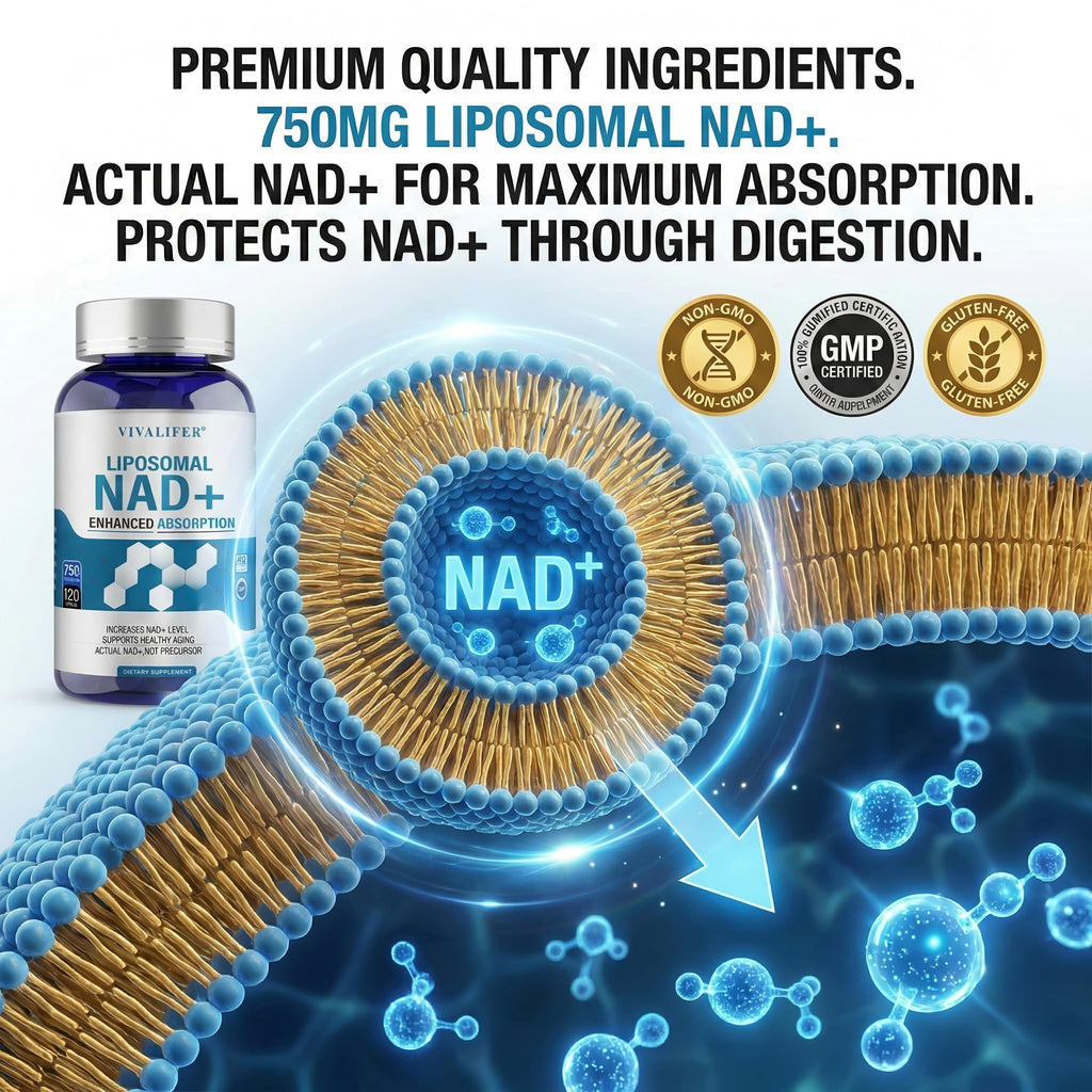 Liposomal NAD+ Supplement 750mg - 120 Capsules NMN Alternative Superior Absorption & Bioavailability -True Nicotinamide Adenine Dinucleotide for Cellular Energy, DNA Repair Support & Healthy Aging DQQI Au supplements