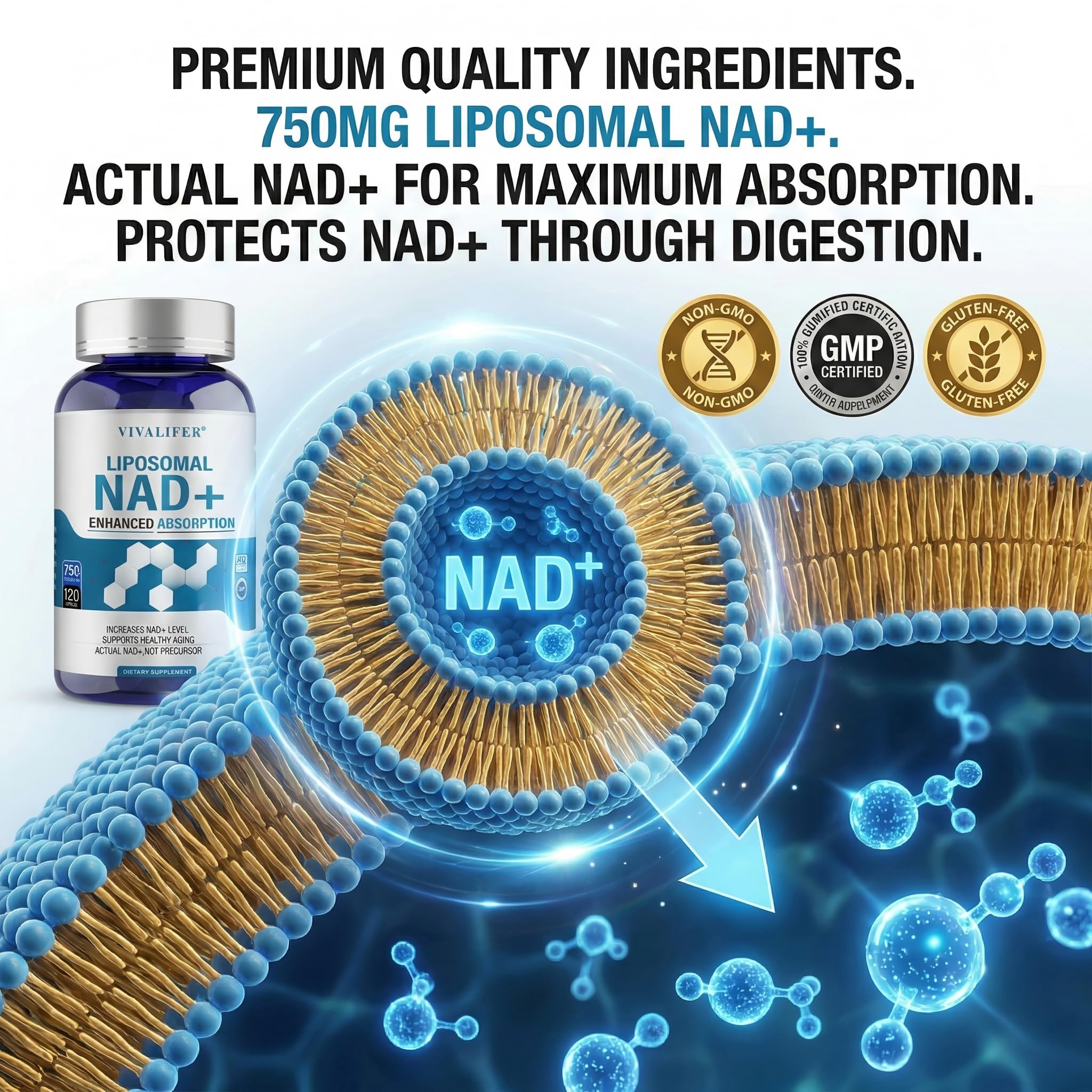 Liposomal NAD+ Supplement 750mg - 120 Capsules NMN Alternative Superior Absorption & Bioavailability -True Nicotinamide Adenine Dinucleotide for Cellular Energy, DNA Repair Support & Healthy Aging DQQI Au supplements