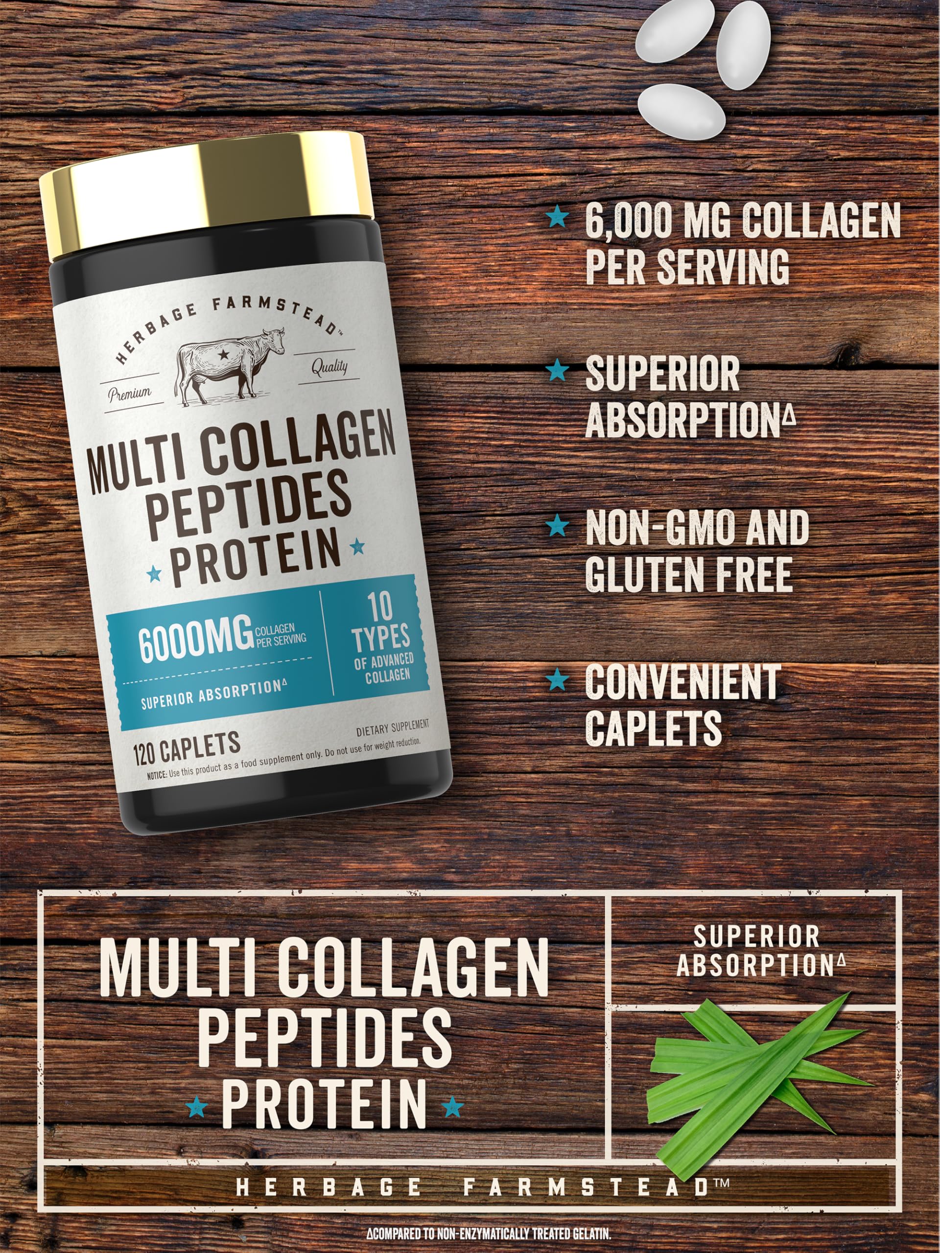Carlyle Multi Collagen Peptides 6000mg | 120 Caplets | 10 Types of Advanced Collagen with Protein | Non-GMO, Gluten Free Supplement | by Herbage Farmstead