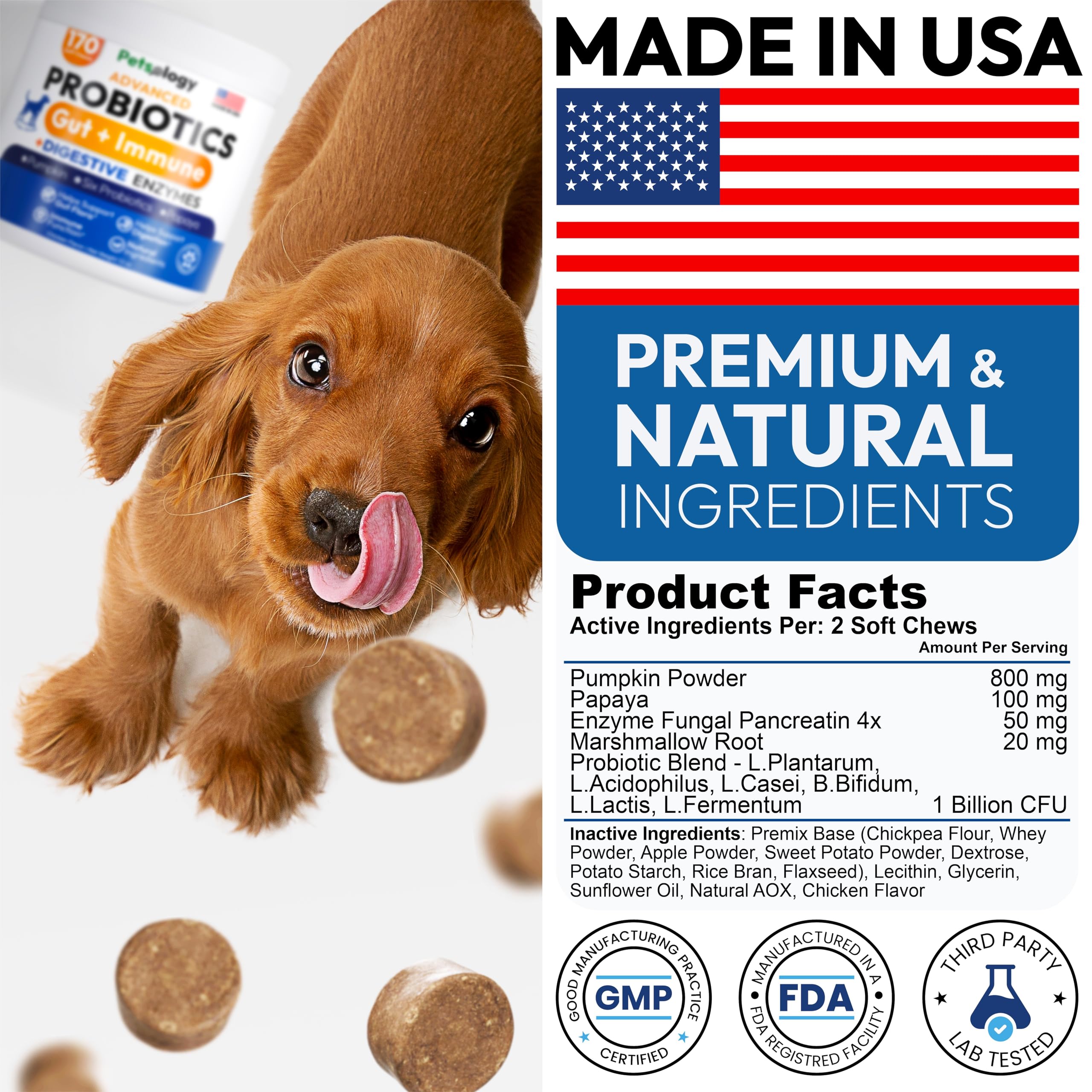 Probiotics for Dogs - 170 Dog Probiotics Chews - Digestive Enzymes & Prebiotics - Support Gut Health, Diarrhea, Gas & Constipation Relief - Itchy Skin, Allergies, Yeast Balance - Advanced Supplement Petsology Au supplements