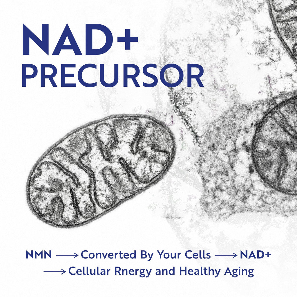 NMN Supplement 500mg | 99% Pure | NAD+ Precursor for Cellular Energy, Longevity, Repair, and Healthy Aging Support | Third-Party Tested & Non-GMO | Nicotinamide Mononucleotide | 60 NMN Capsules Nobi Nutrition Au supplements