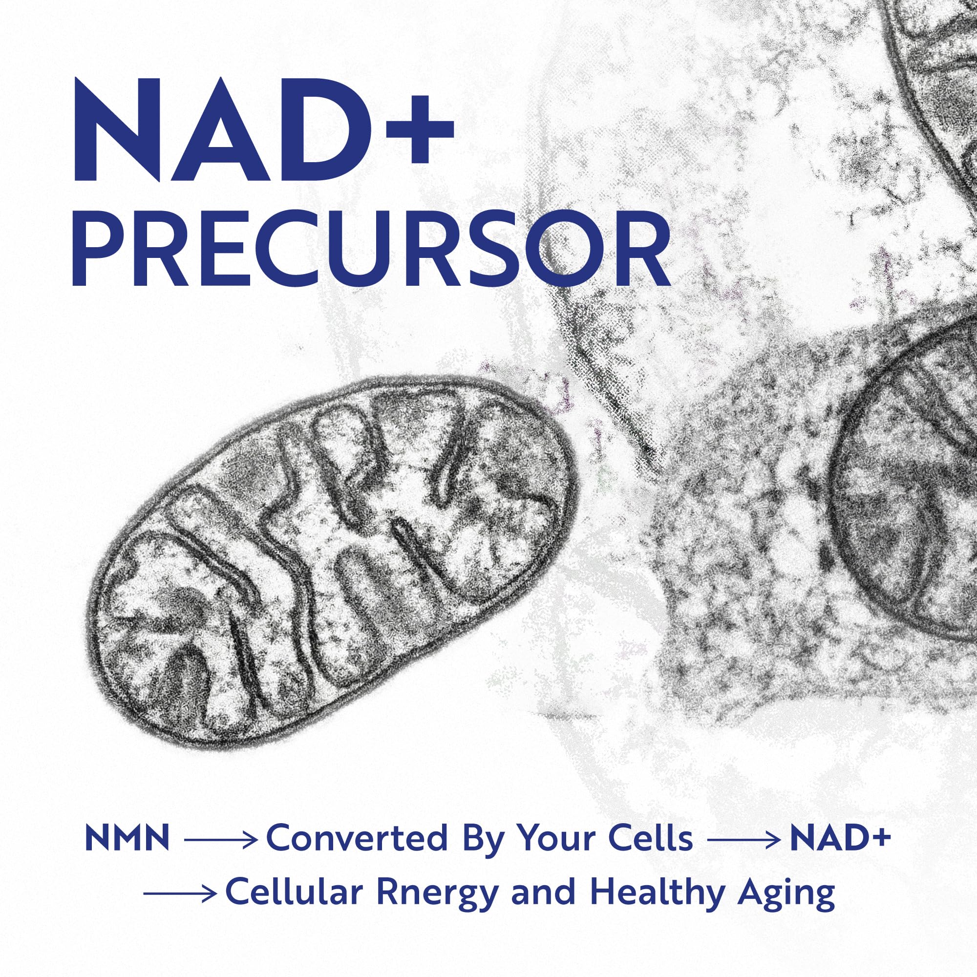 NMN Supplement 500mg | 99% Pure | NAD+ Precursor for Cellular Energy, Longevity, Repair, and Healthy Aging Support | Third-Party Tested & Non-GMO | Nicotinamide Mononucleotide | 60 NMN Capsules Nobi Nutrition Au supplements