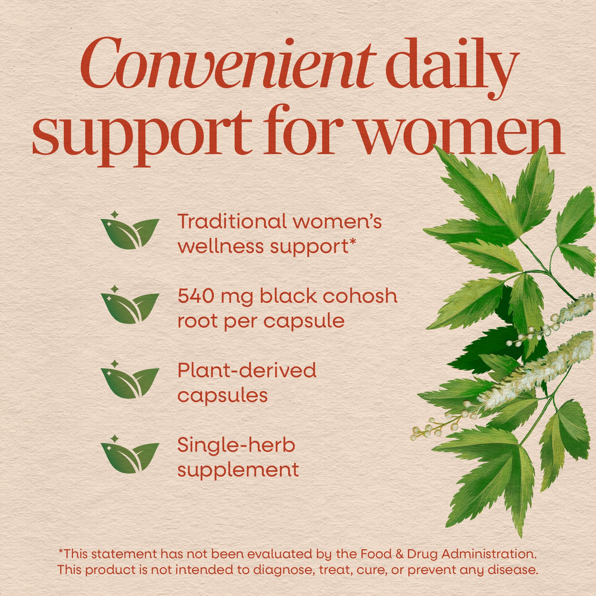 Nature’s Way Herbs Black Cohosh Root Capsules, Traditional Women’s Herbal Supplement*, Cimicifuga Racemosa Root,