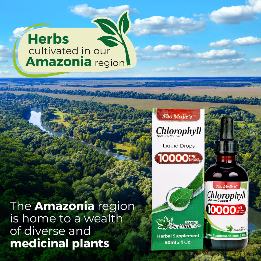 FITO MEDIC'S Lab | Liquid Chlorophyll | Chlorophyll Liquid Drops | 50 mg 200:1 Ratio Extract per Serving.