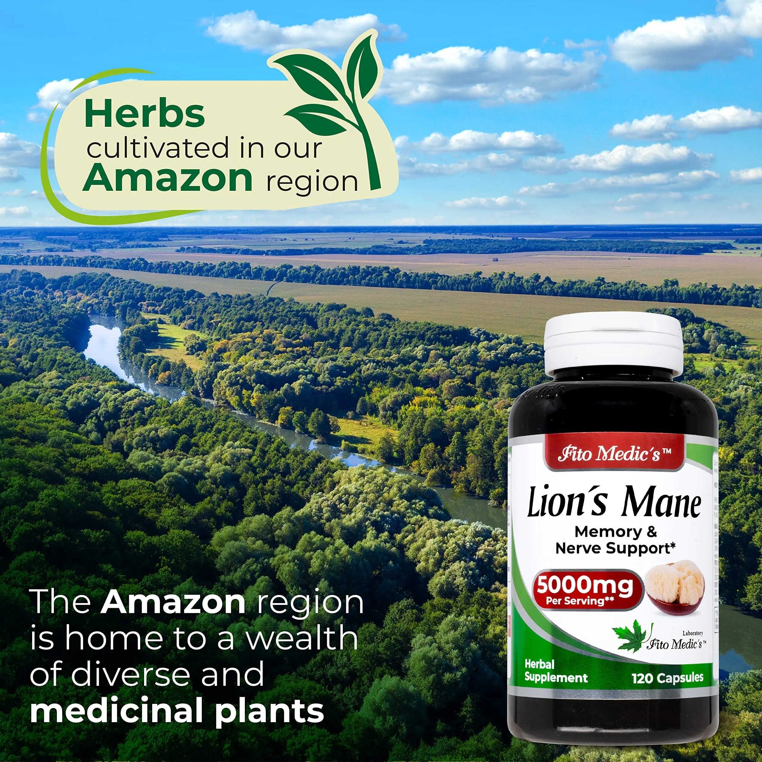 Lab | Lions Mane | 5000 mg per Serving | 120 Capsules | lions mane supplement | lions mane FITO MEDIC'S Au supplements