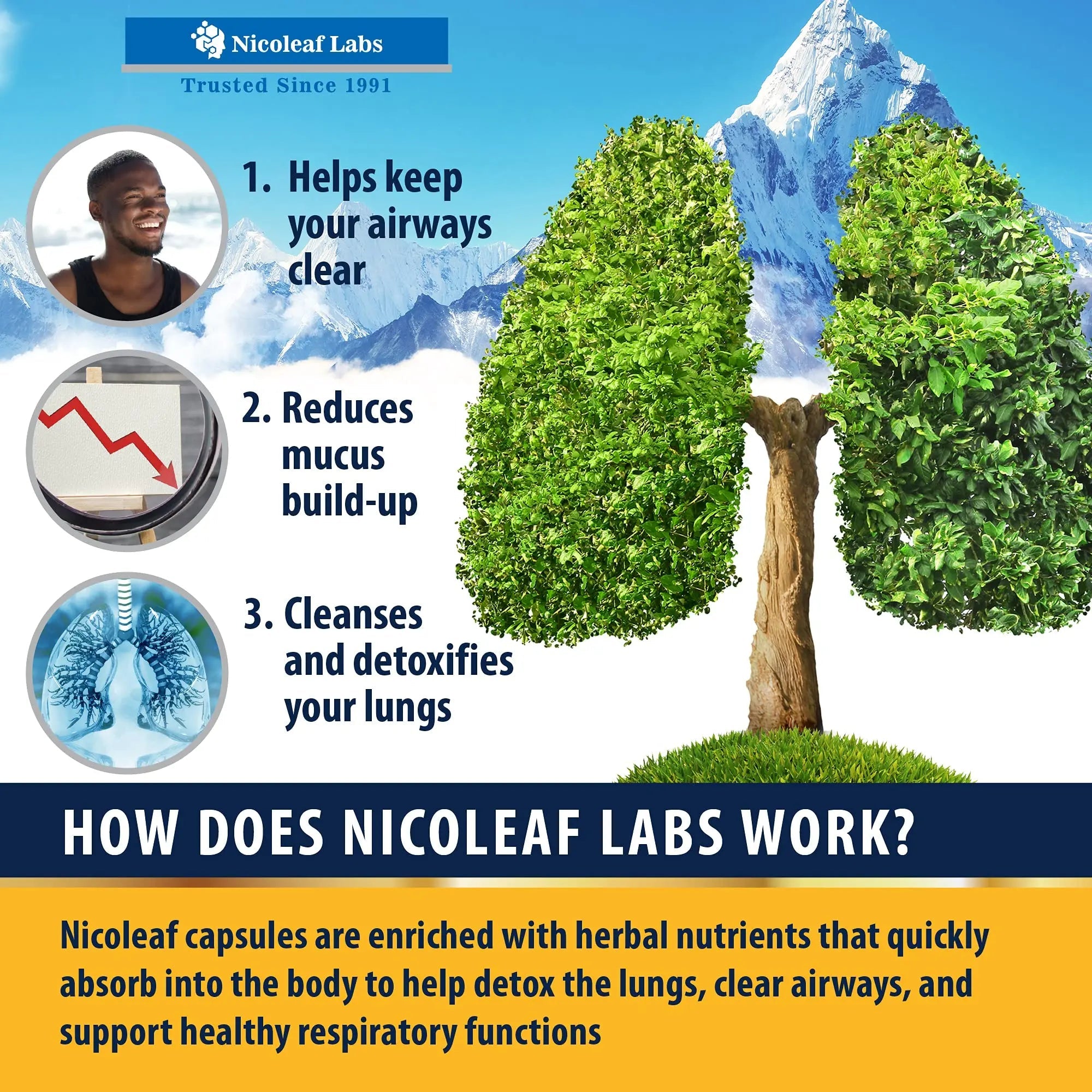 Smoker's Cleanse - Quit Smoking Aid & Respiratory Support - Made in USA NICOLEAF LABS Au supplements