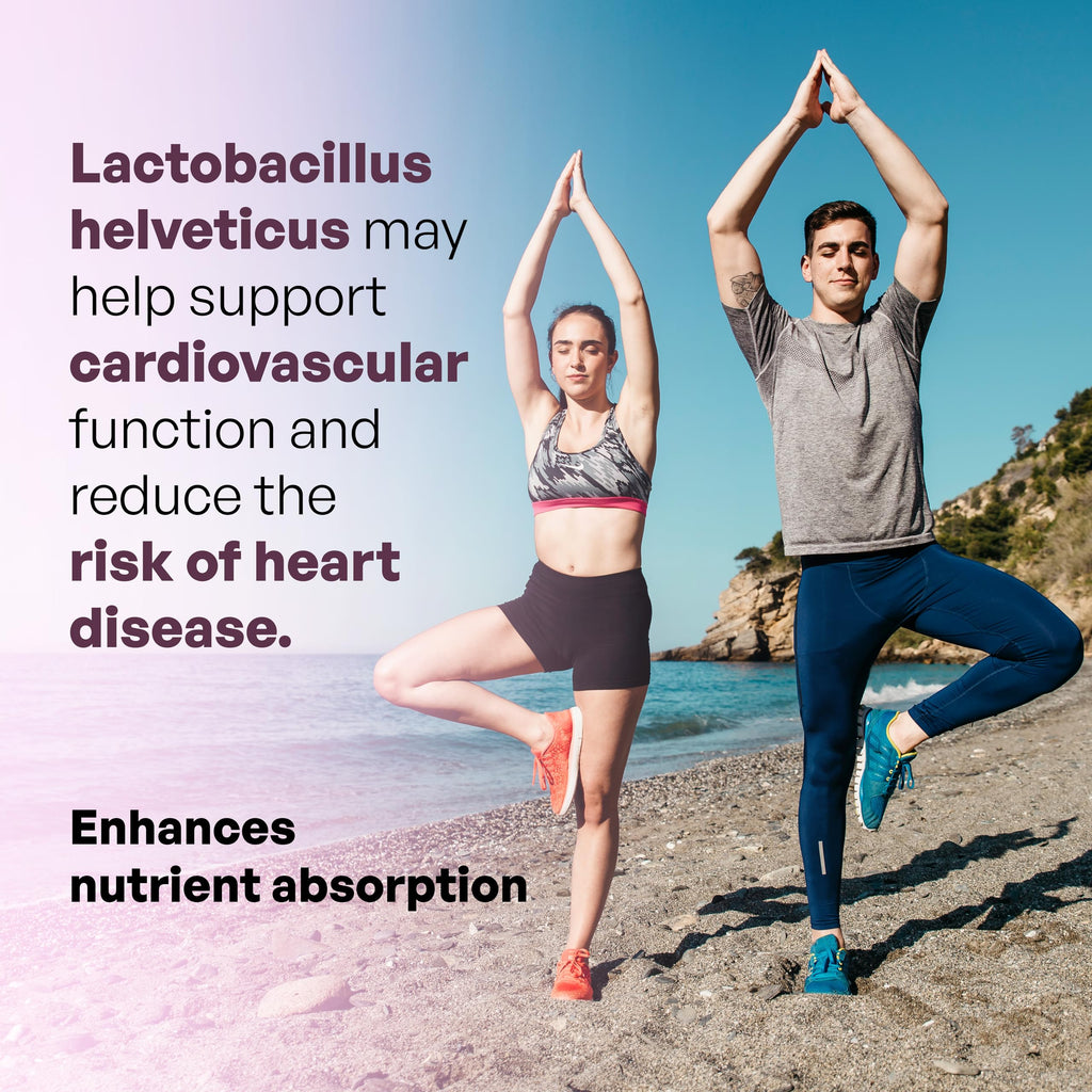 MEIBOTAN L-Helveticus Probiotic Bacteria with 25 Billion CFU for Women & Men, Helps Digestion, Nutrient Absorption and Fight Bad Bacterias - 60 Veggie Capsules