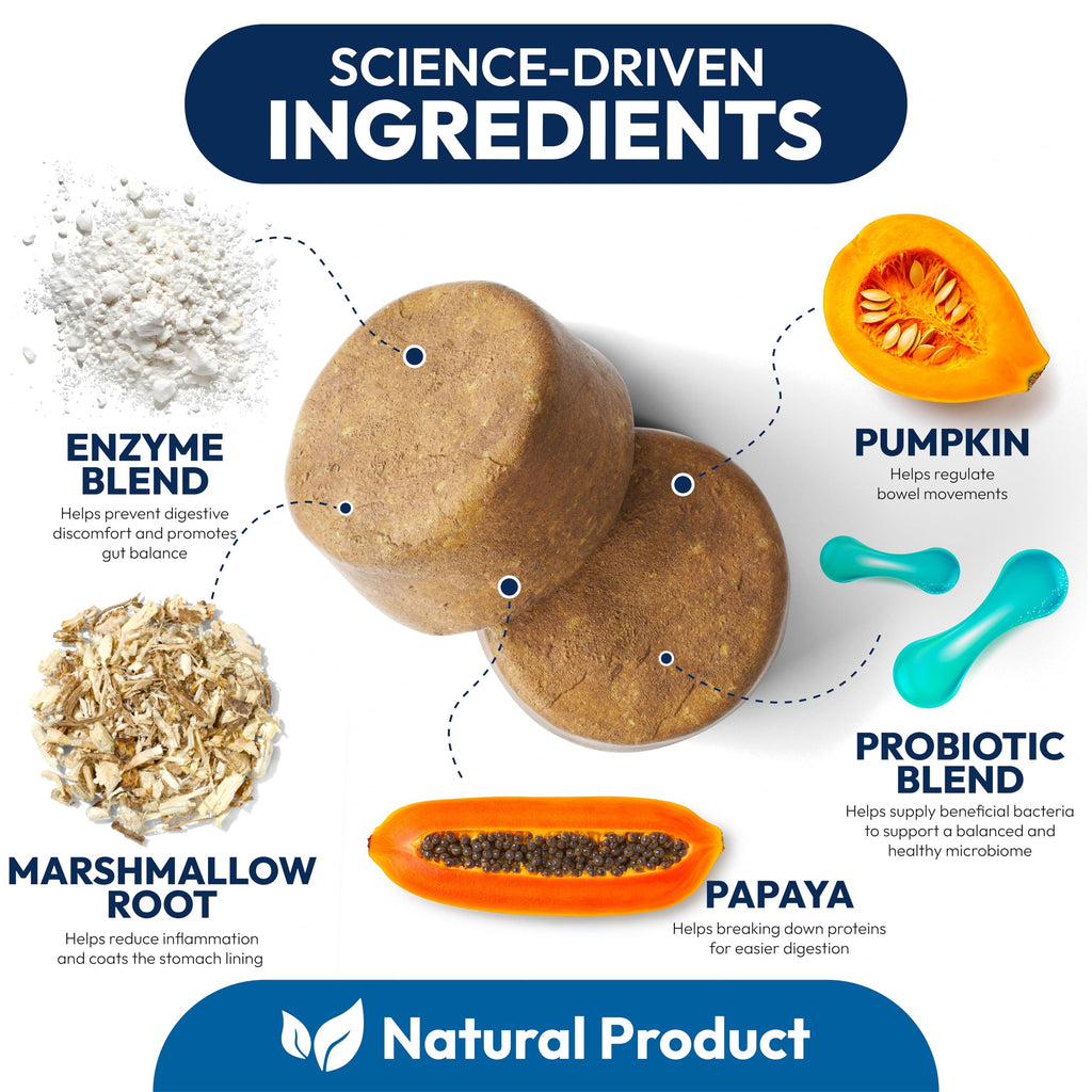 Probiotics for Dogs - 170 Dog Probiotics Chews - Digestive Enzymes & Prebiotics - Support Gut Health, Diarrhea, Gas & Constipation Relief - Itchy Skin, Allergies, Yeast Balance - Advanced Supplement Petsology Au supplements
